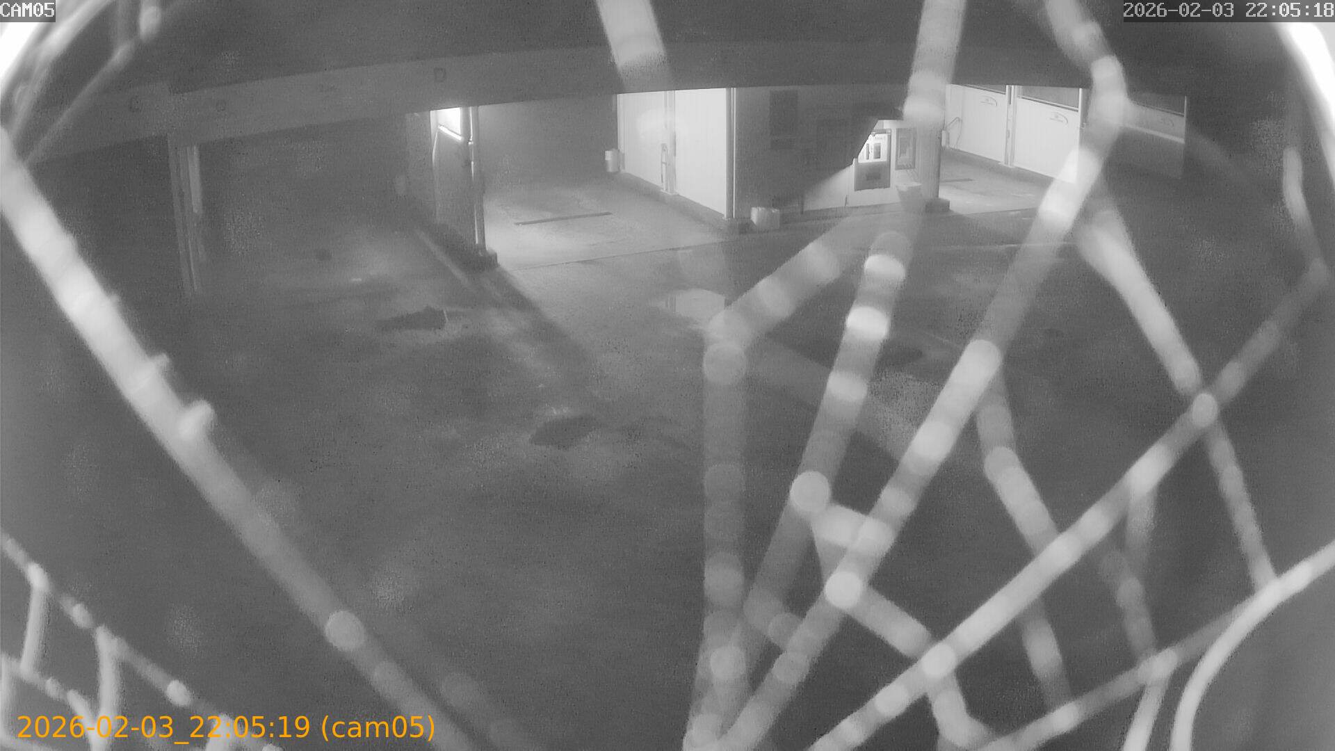 thumbnail_20260203220519