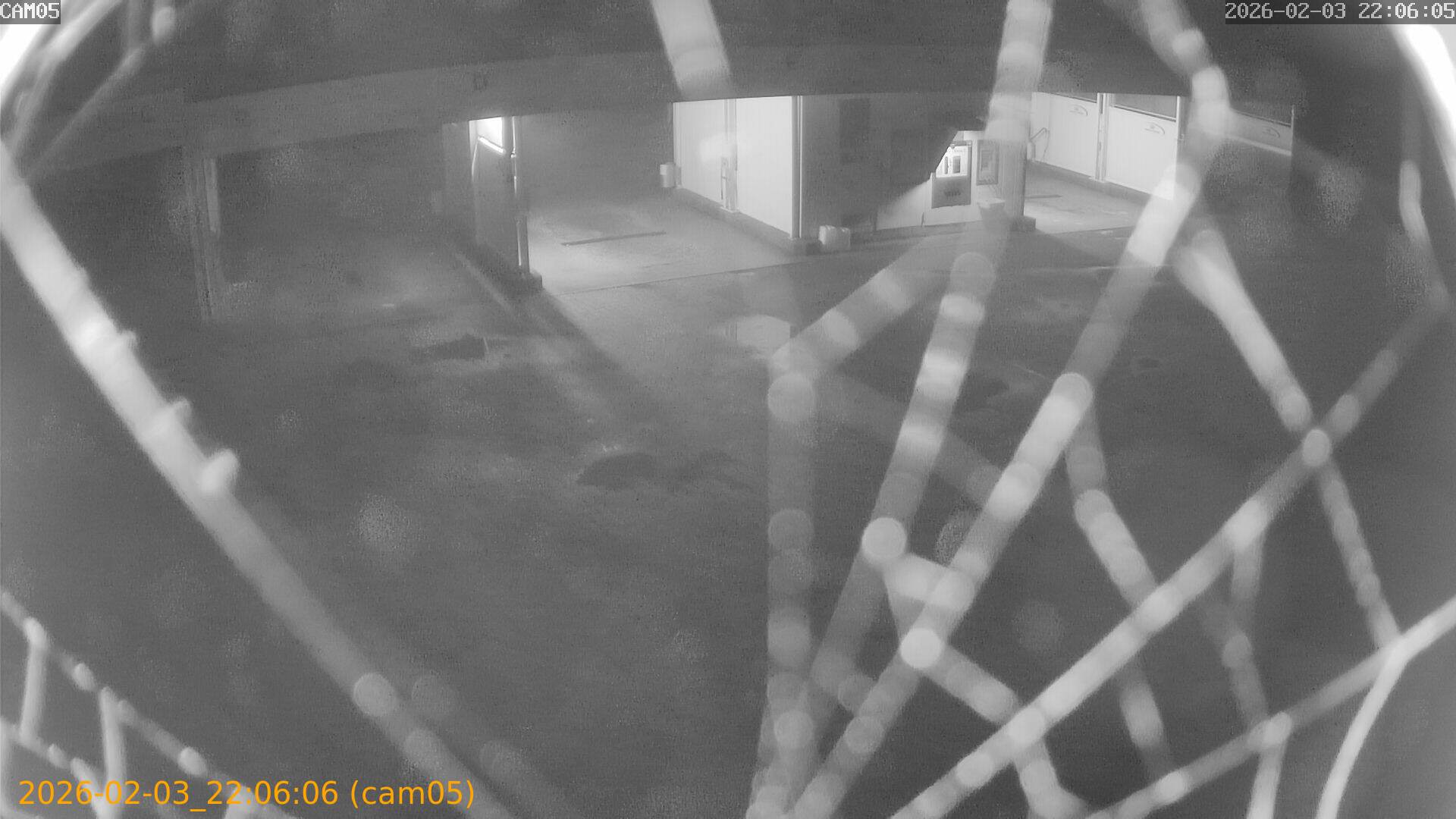 thumbnail_20260203220606