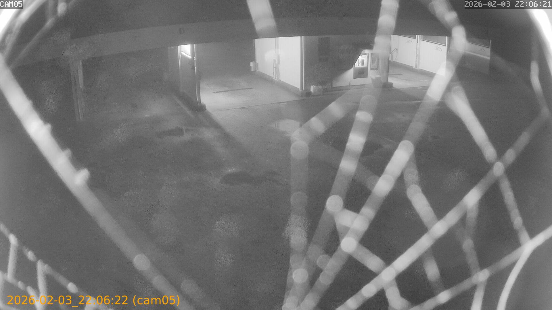 thumbnail_20260203220622