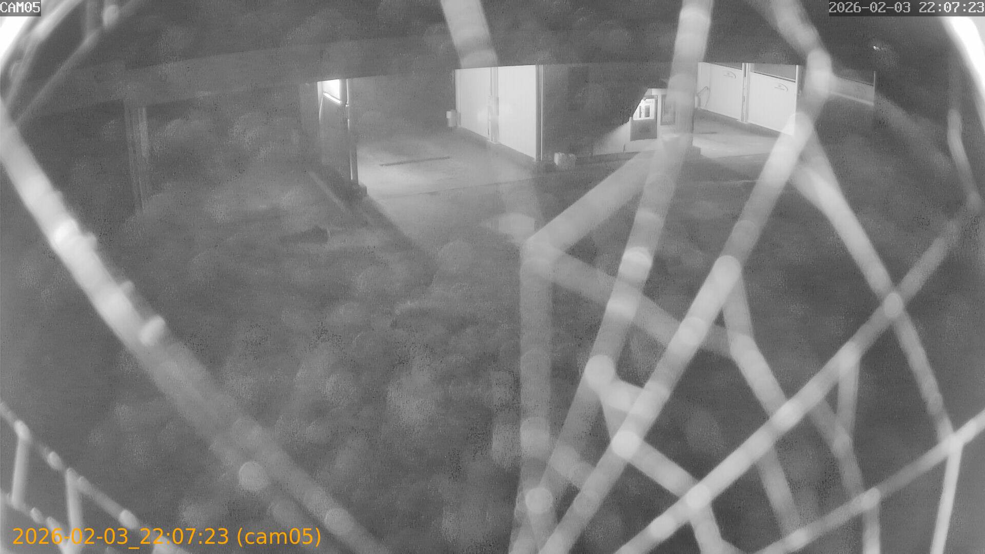 thumbnail_20260203220723