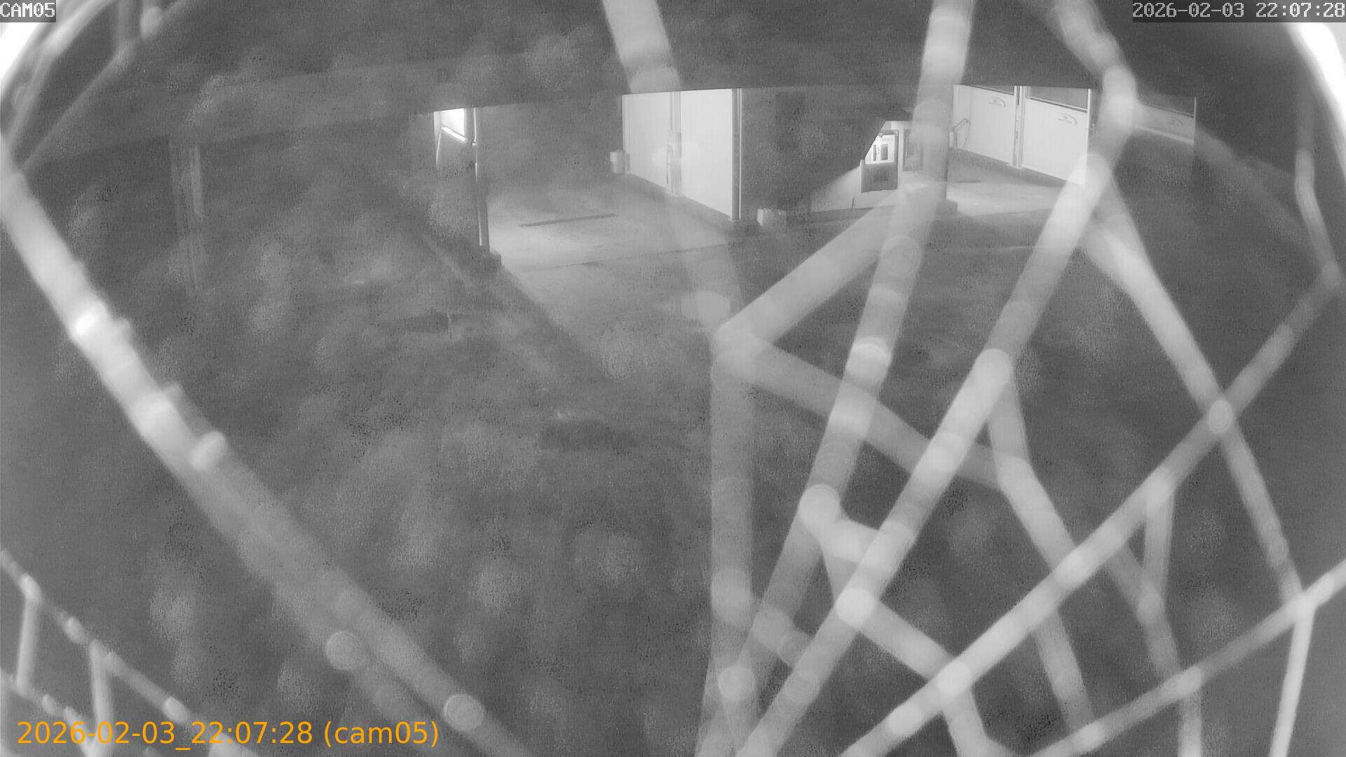 thumbnail_20260203220728