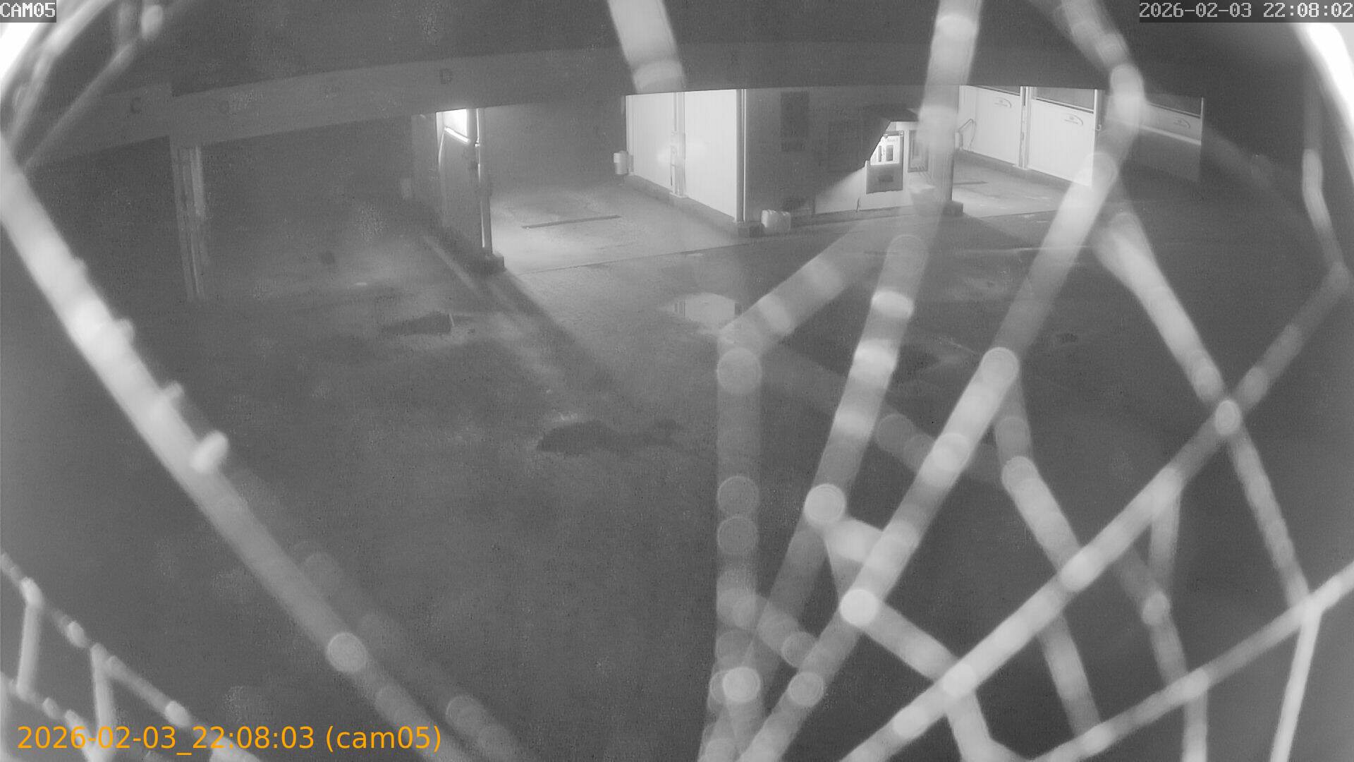 thumbnail_20260203220803