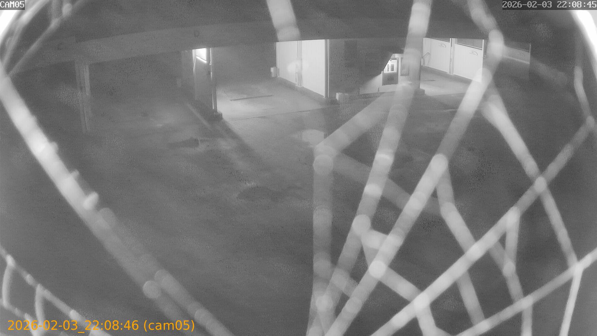 thumbnail_20260203220846