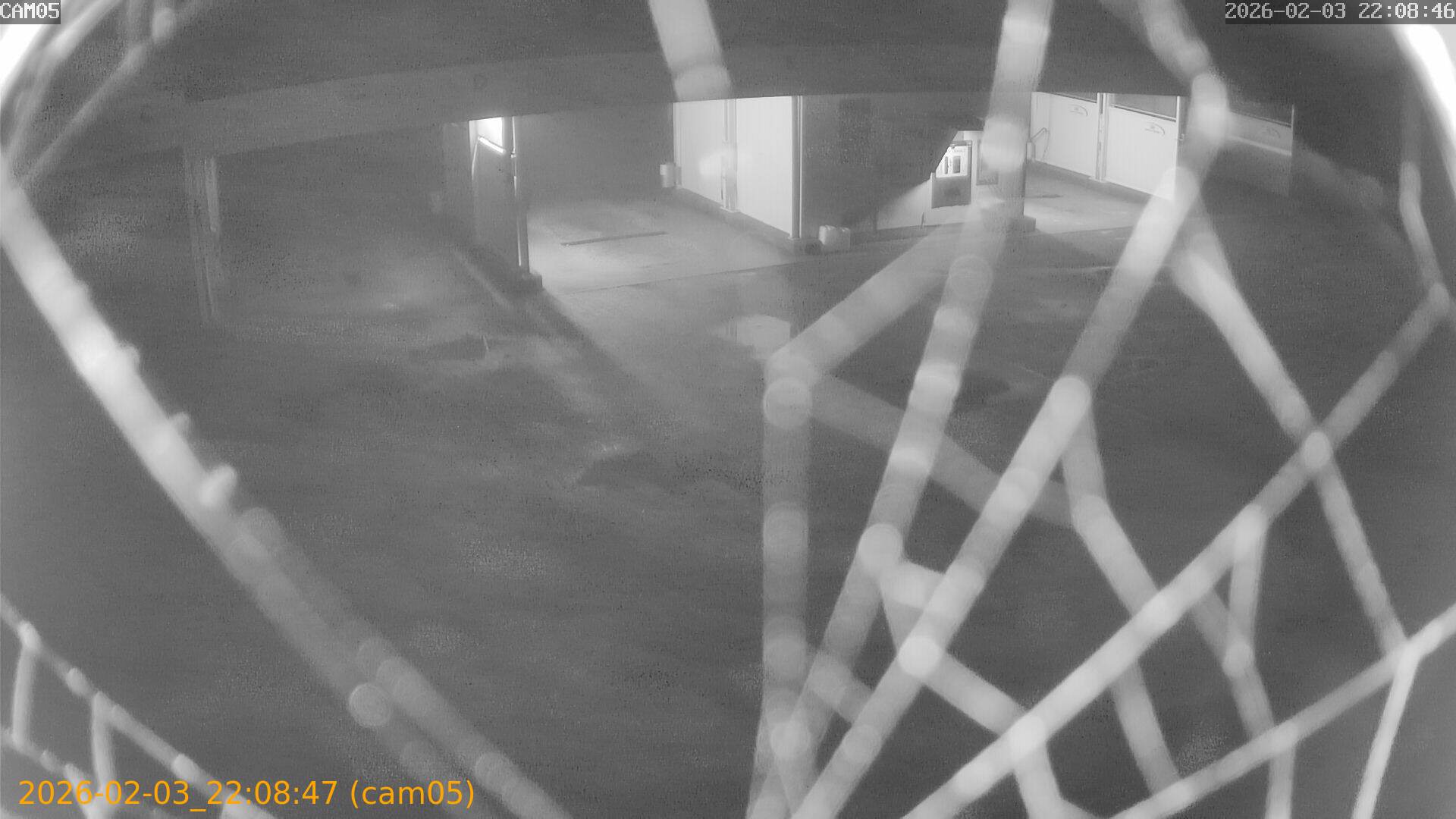 thumbnail_20260203220847