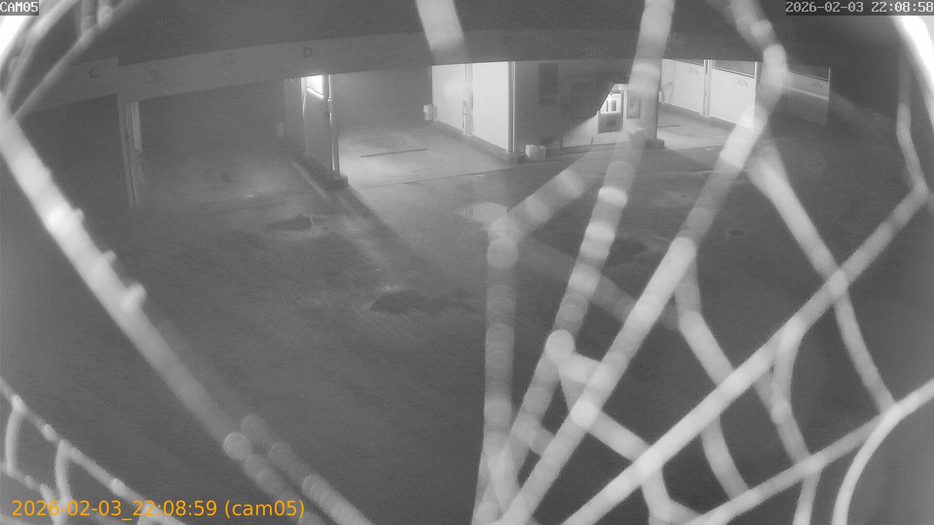 thumbnail_20260203220859