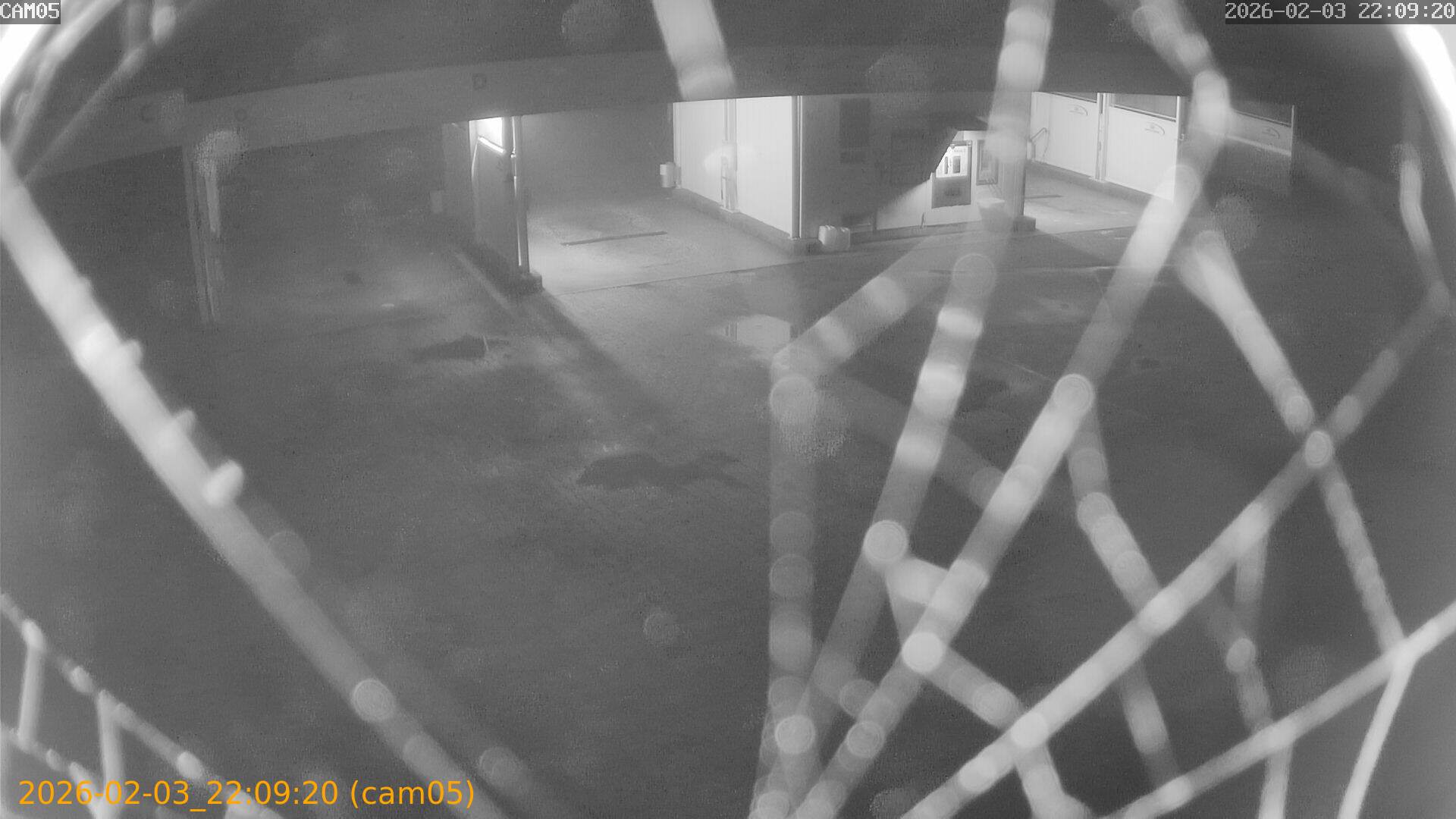 thumbnail_20260203220920