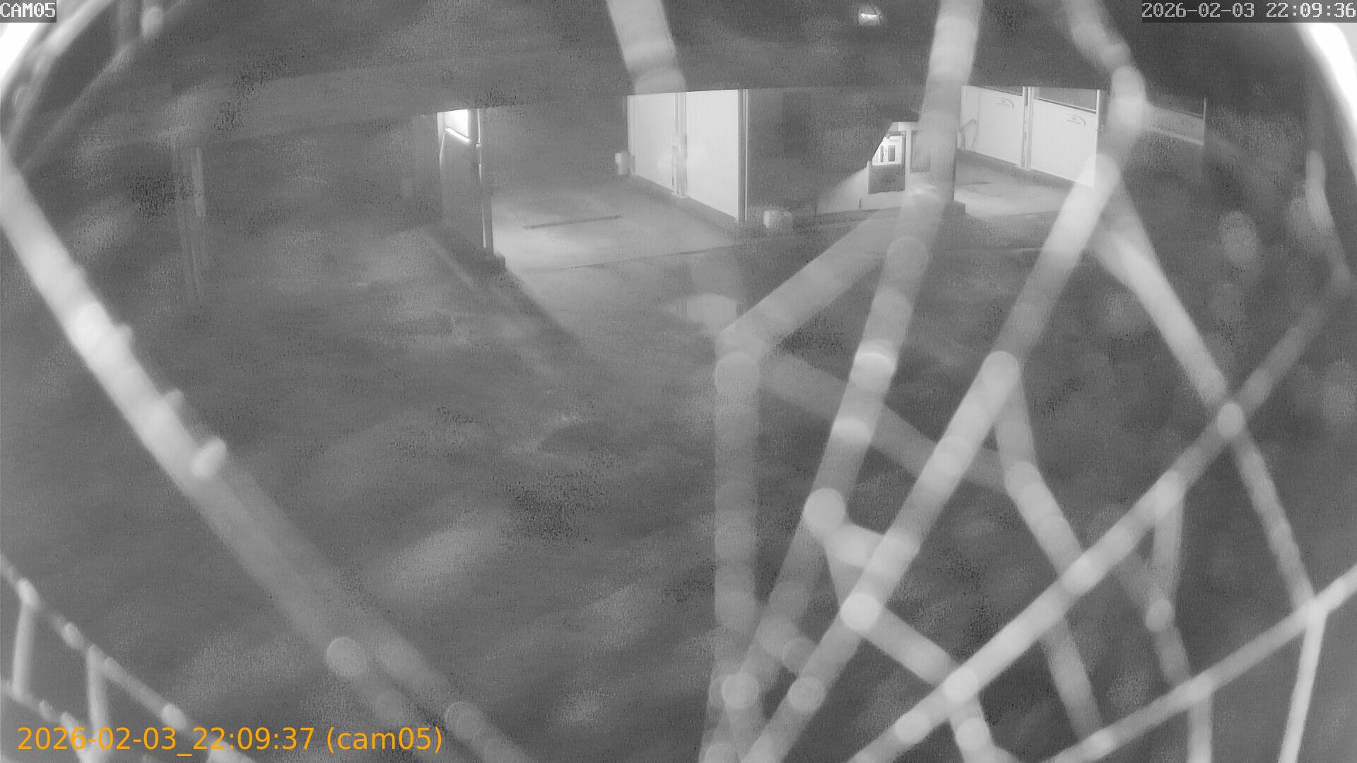 thumbnail_20260203220937