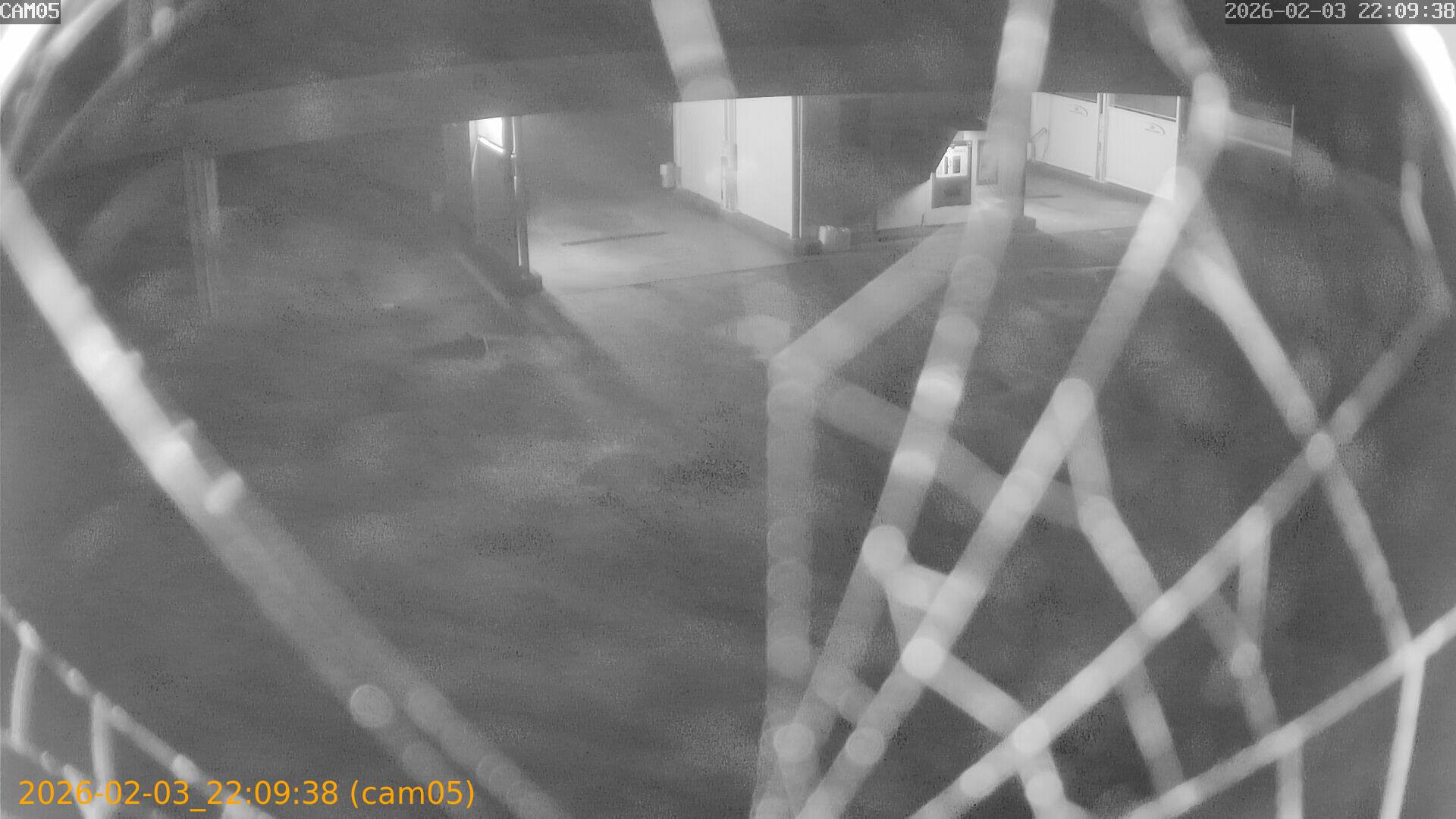 thumbnail_20260203220938