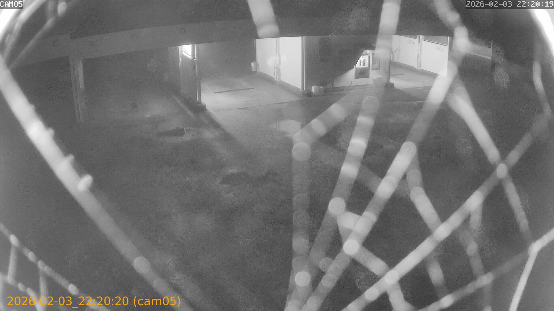 thumbnail_20260203222020