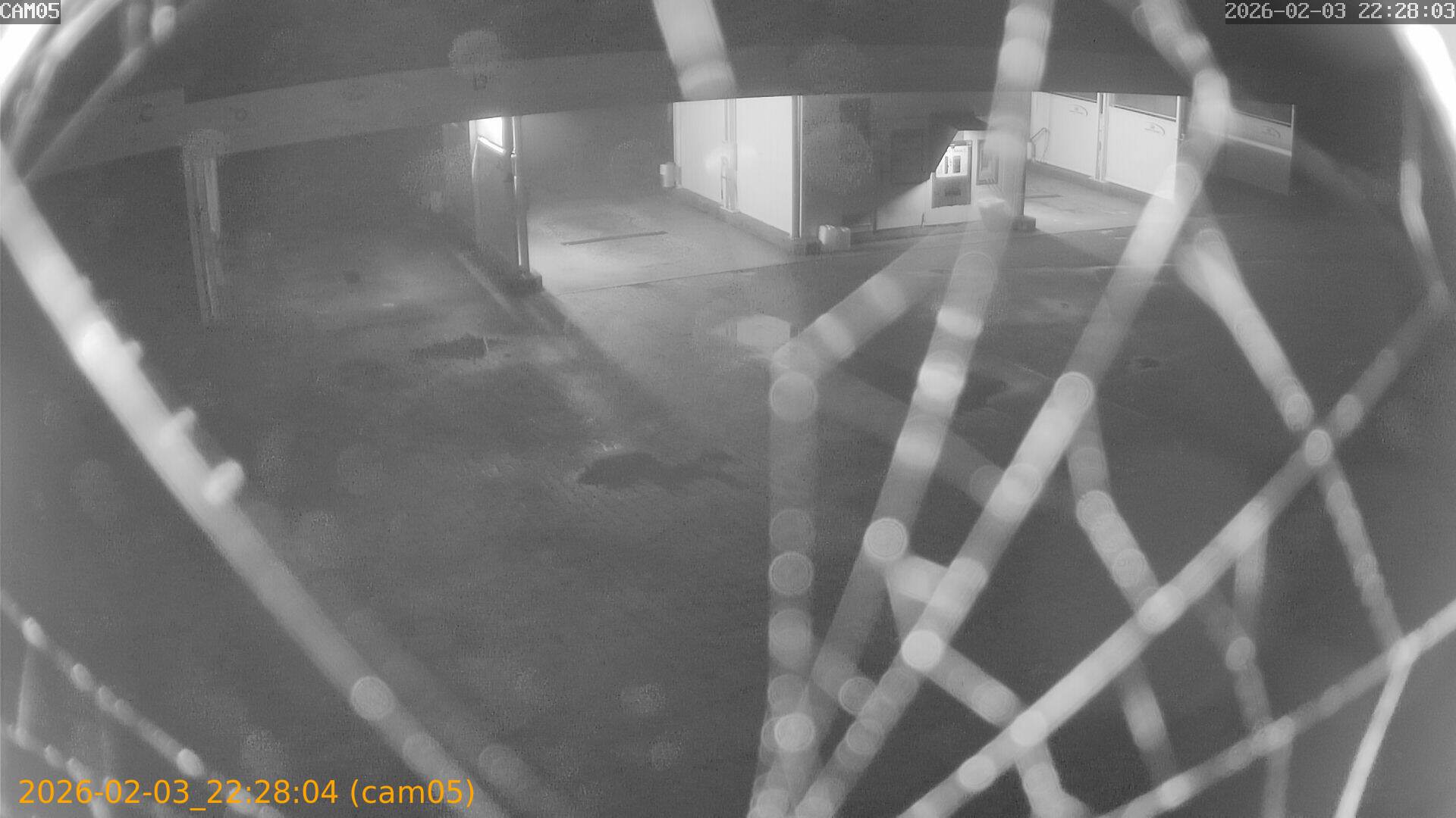 thumbnail_20260203222804