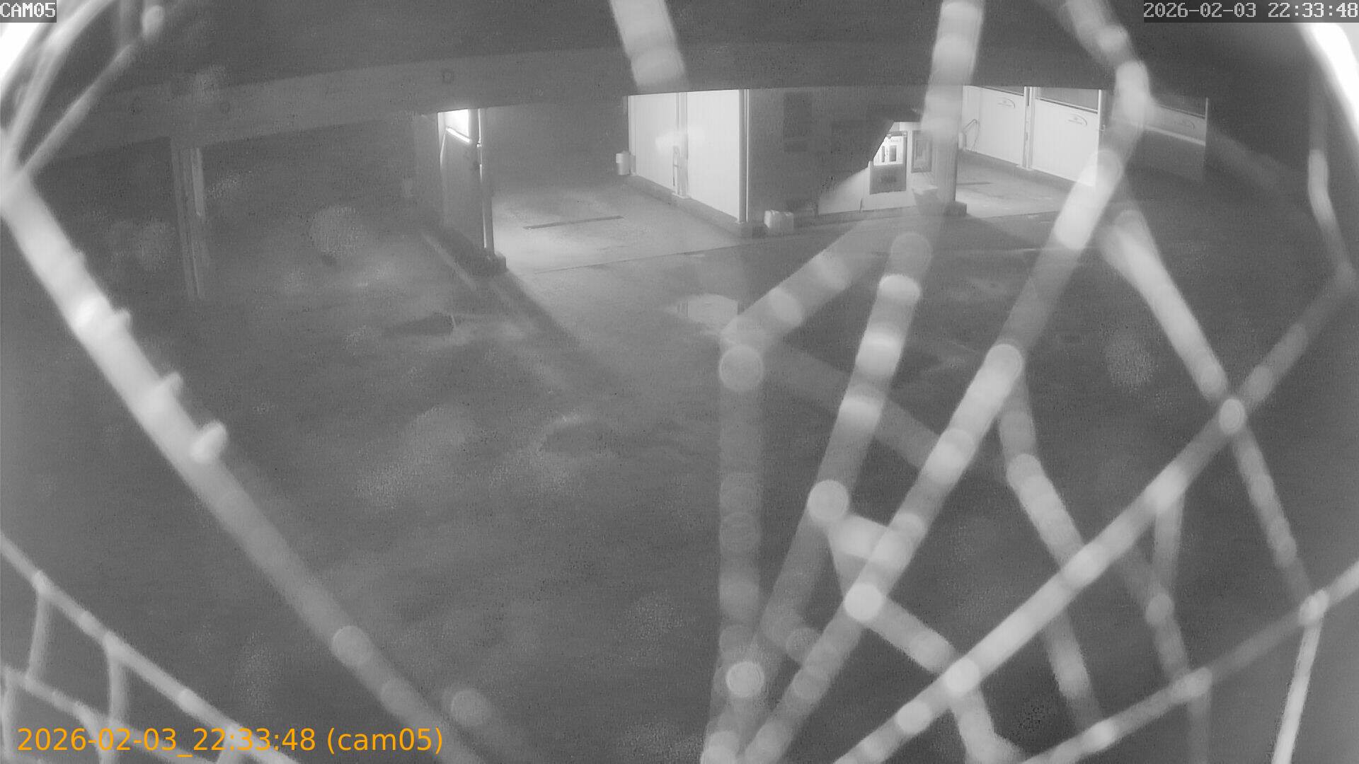 thumbnail_20260203223348