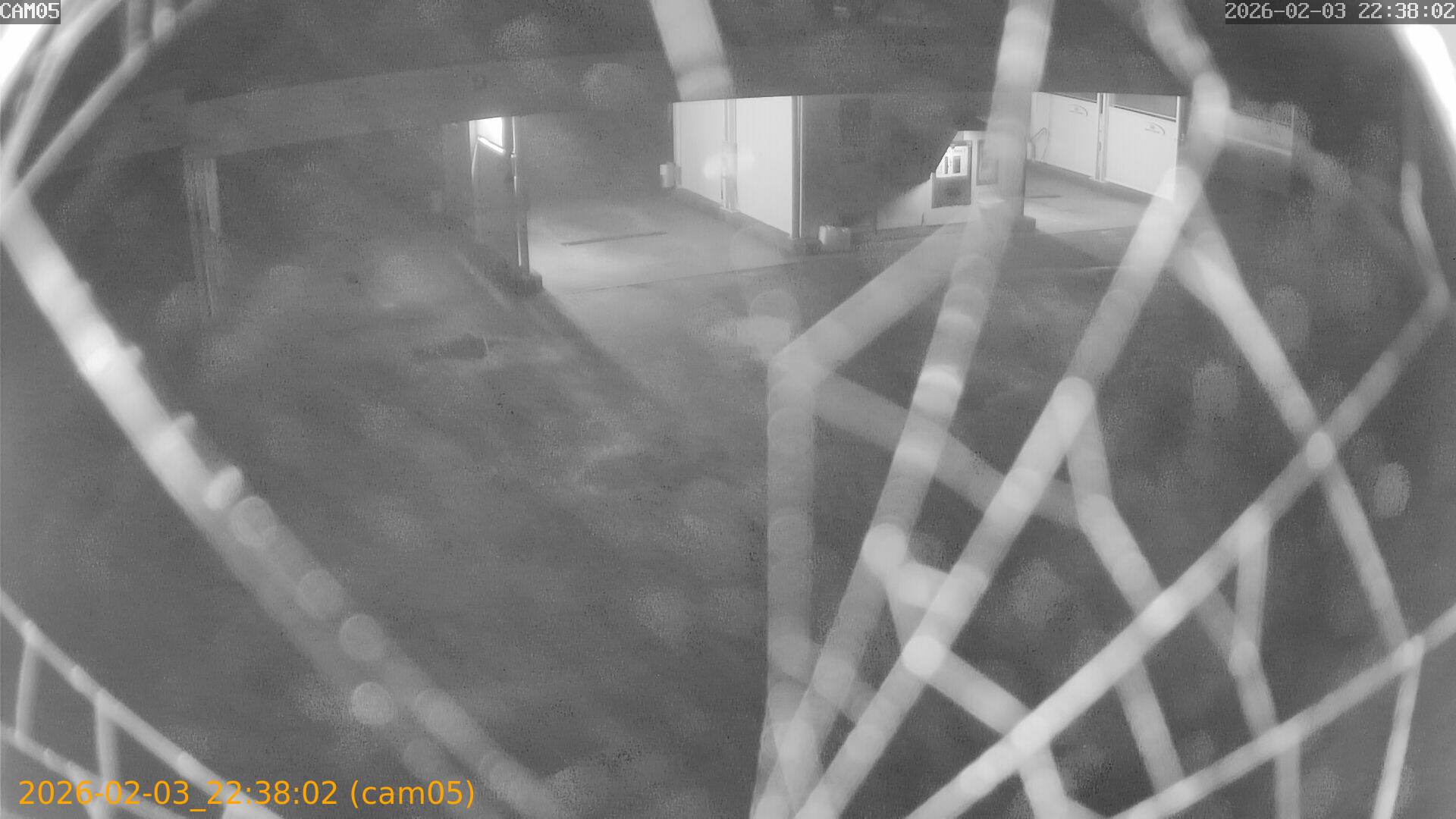 thumbnail_20260203223802