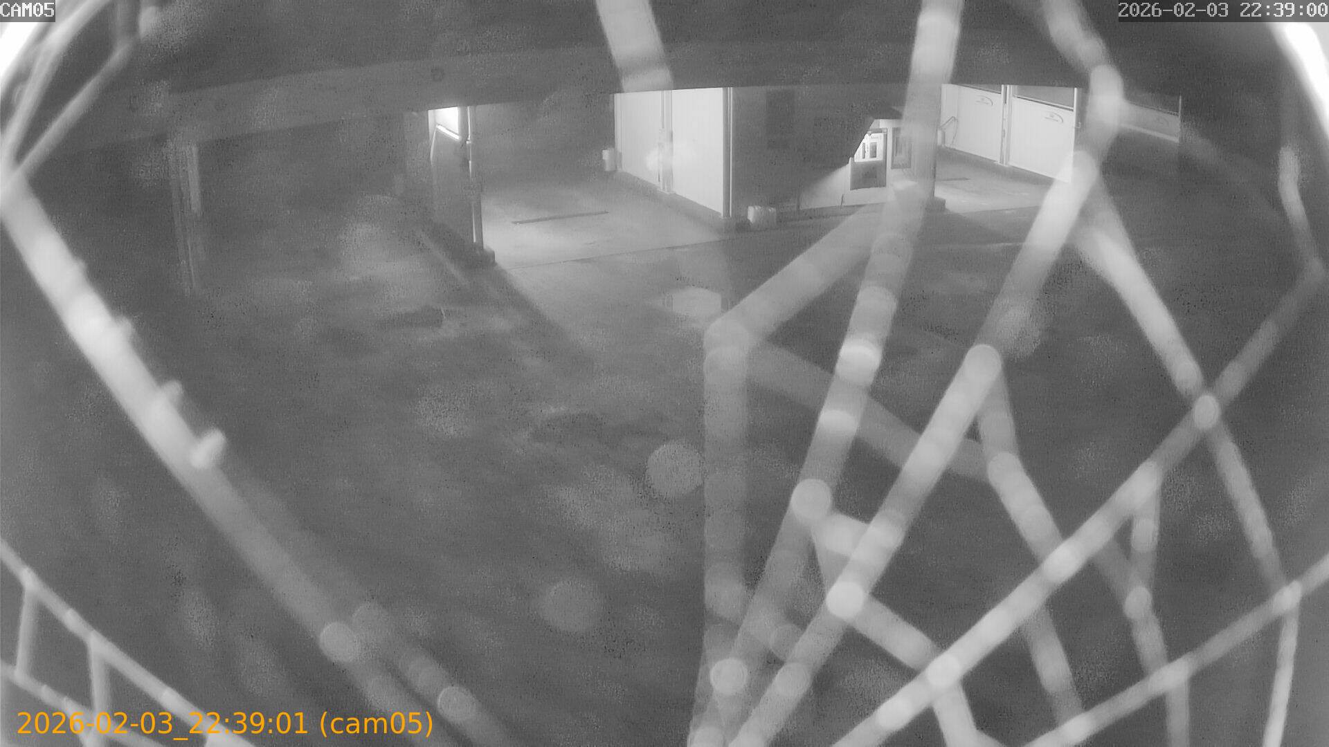 thumbnail_20260203223901