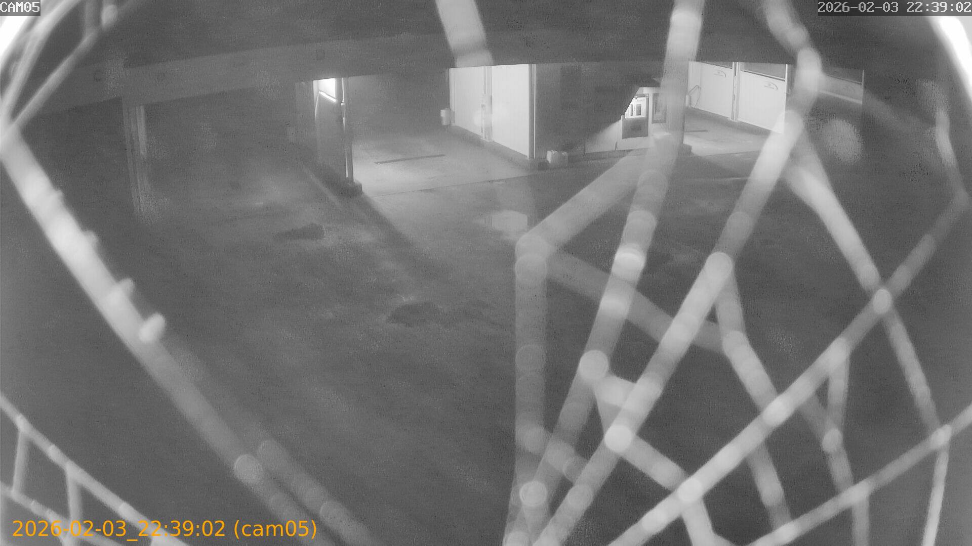 thumbnail_20260203223902