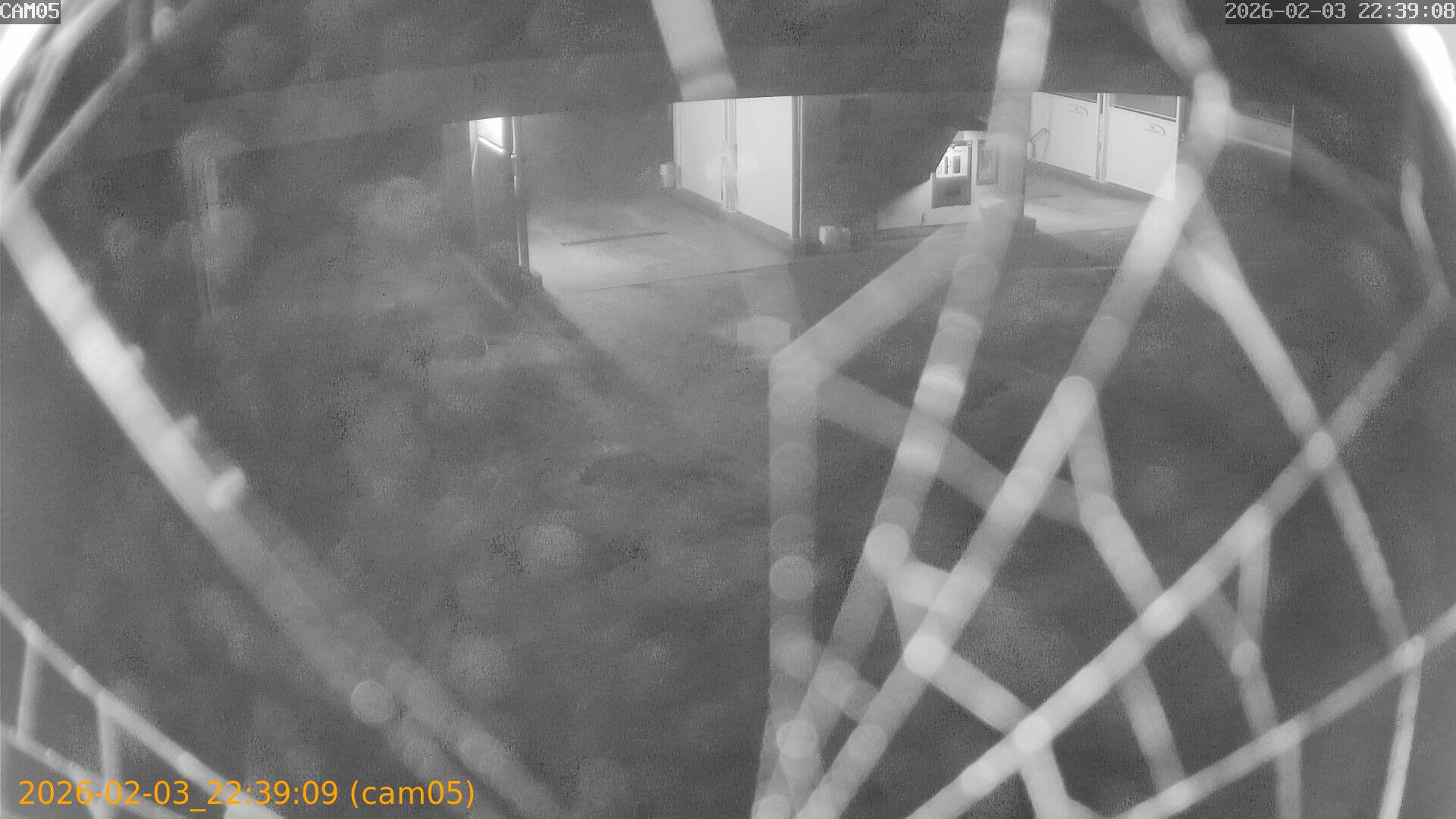 thumbnail_20260203223909