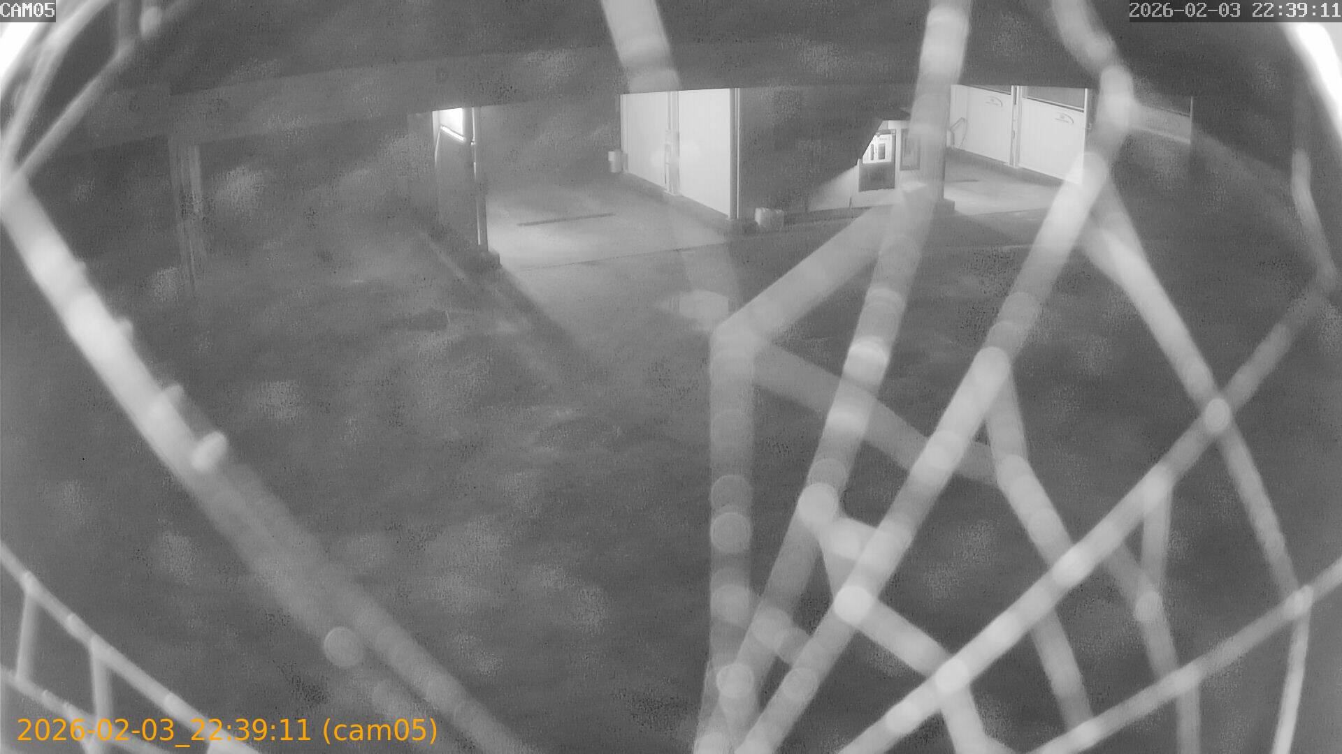 thumbnail_20260203223911