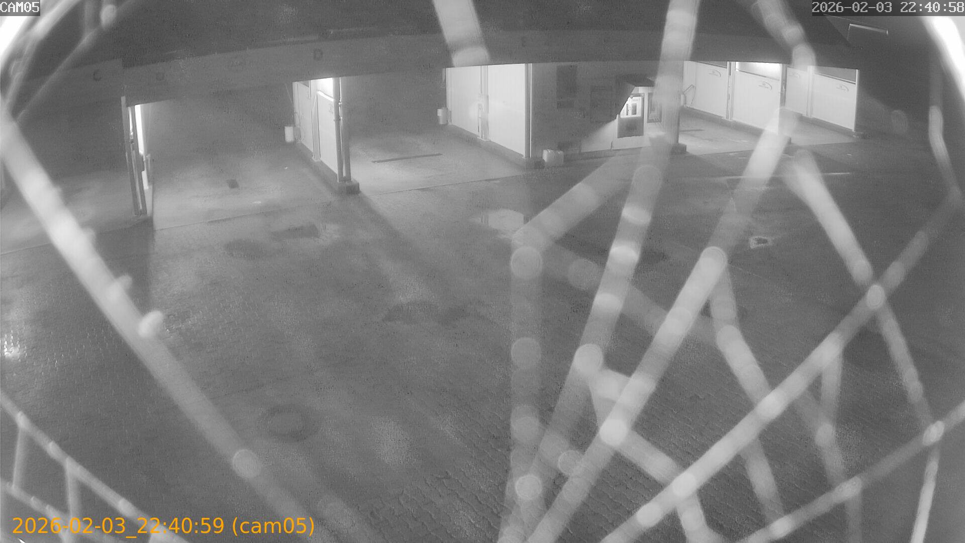 thumbnail_20260203224059