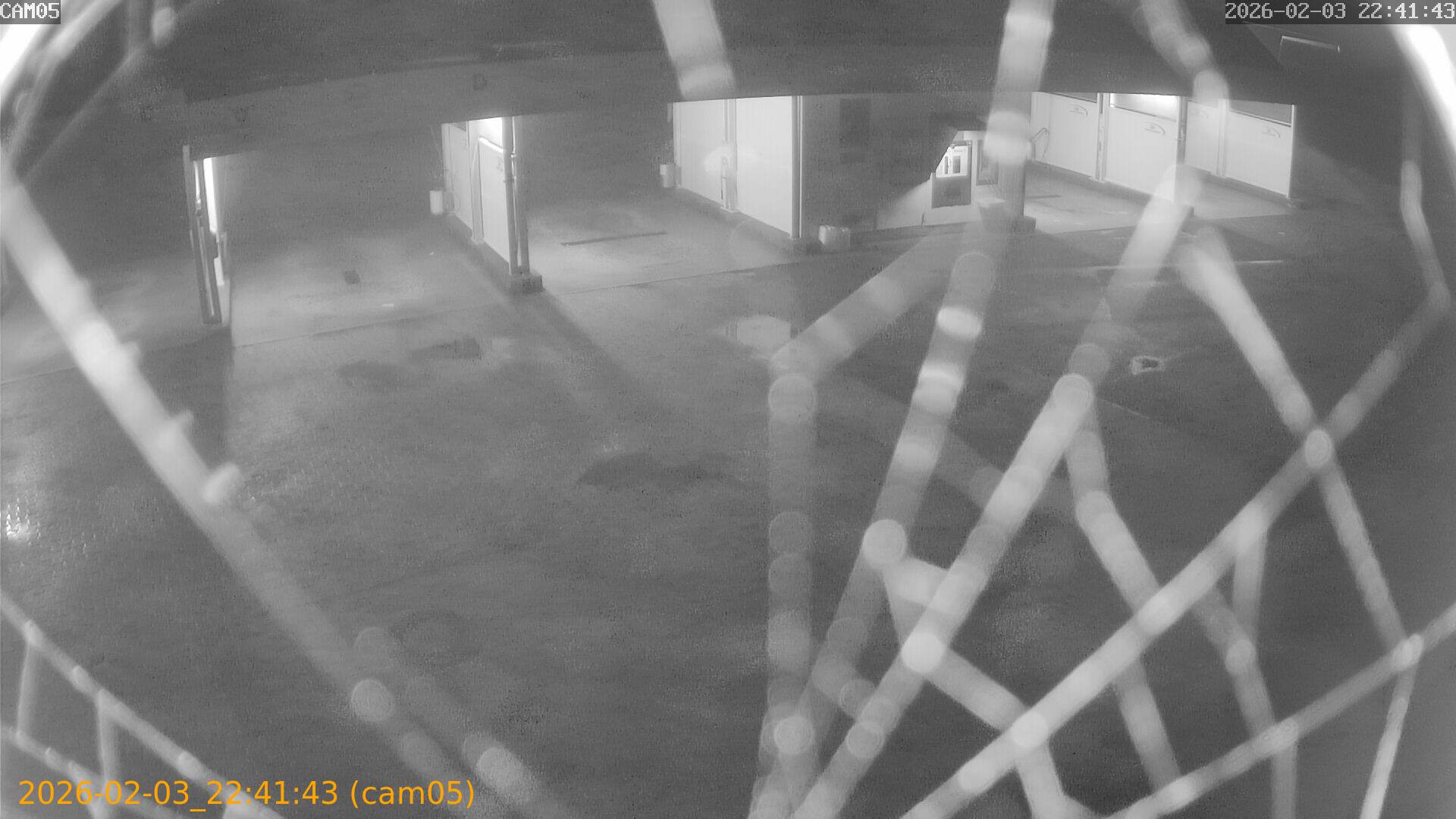 thumbnail_20260203224143