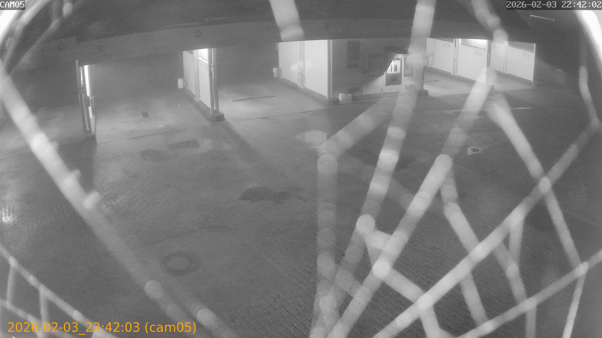 thumbnail_20260203224203