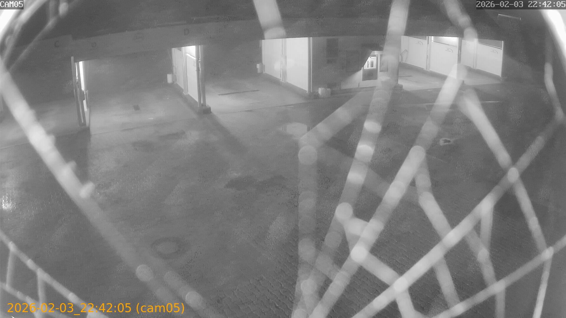 thumbnail_20260203224205