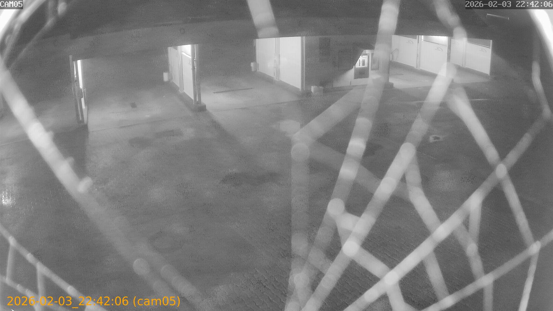 thumbnail_20260203224206