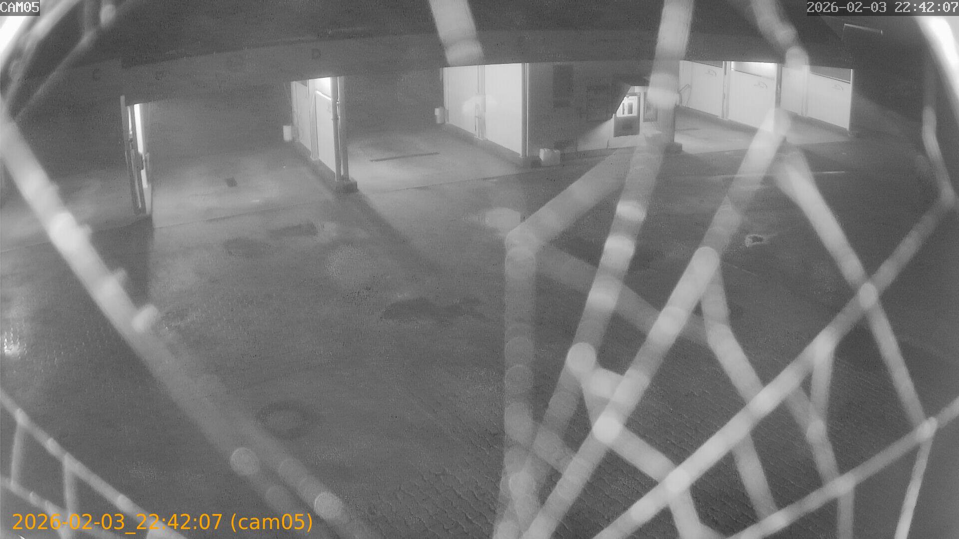 thumbnail_20260203224207