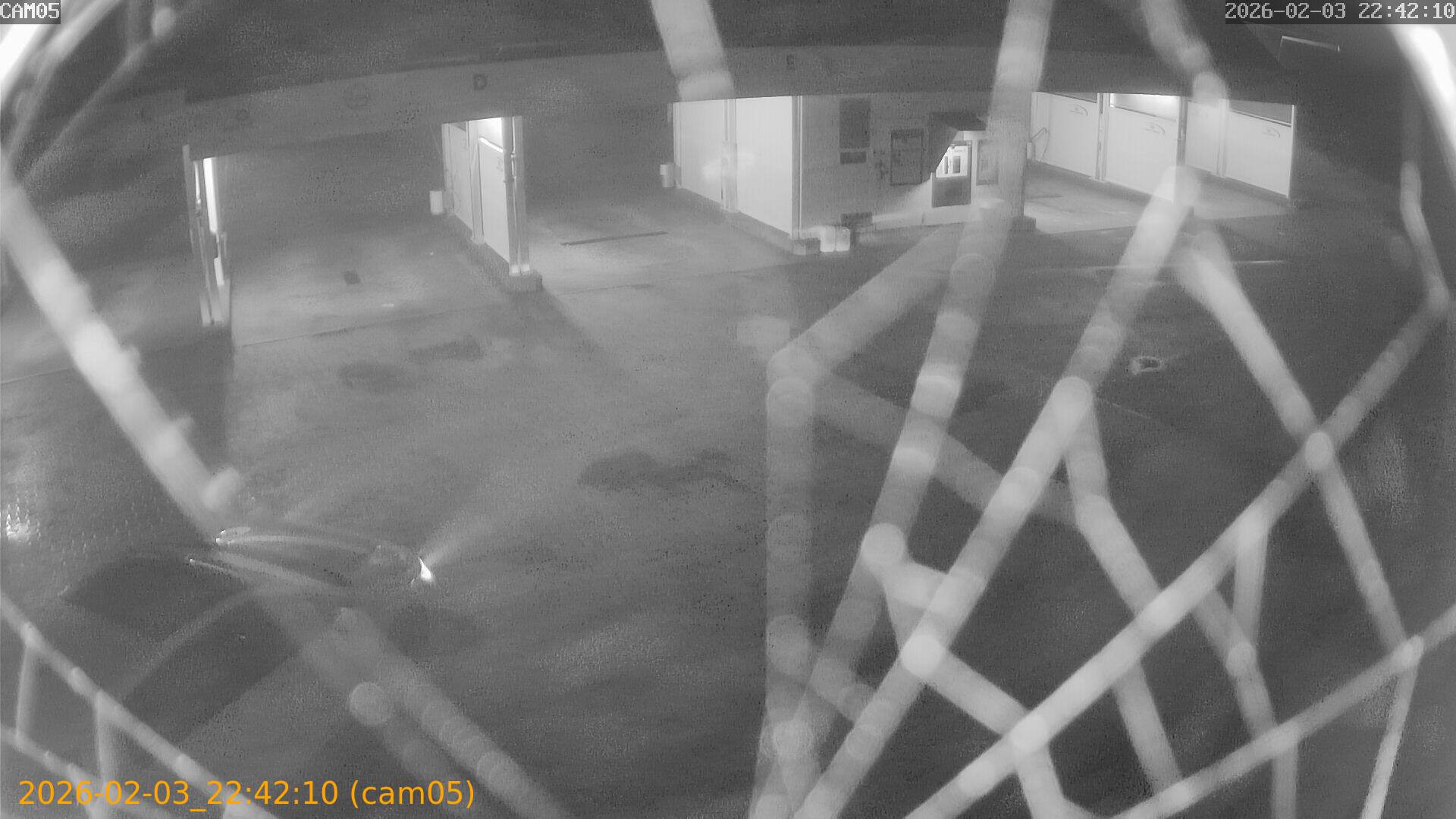 thumbnail_20260203224210