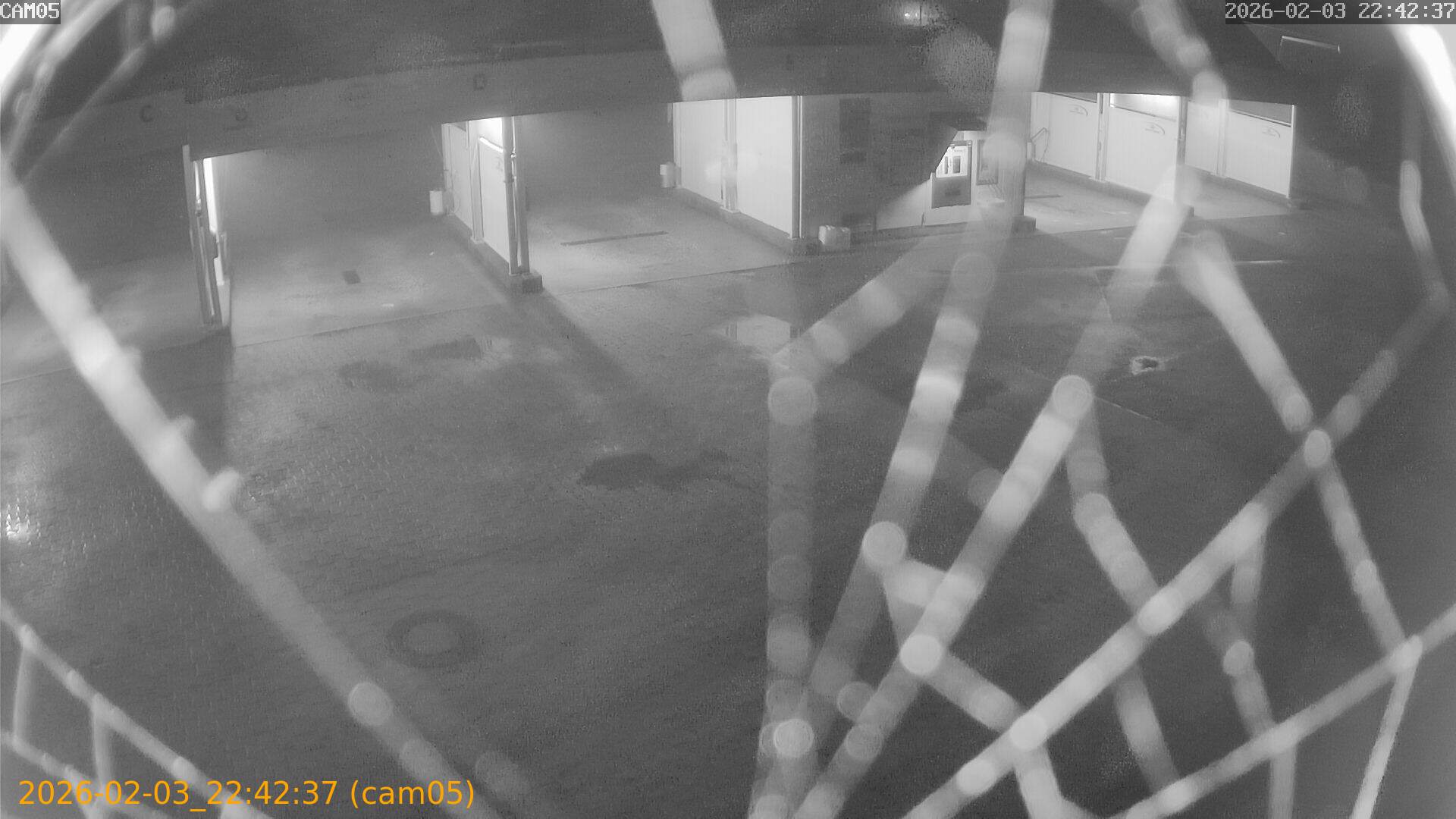 thumbnail_20260203224237