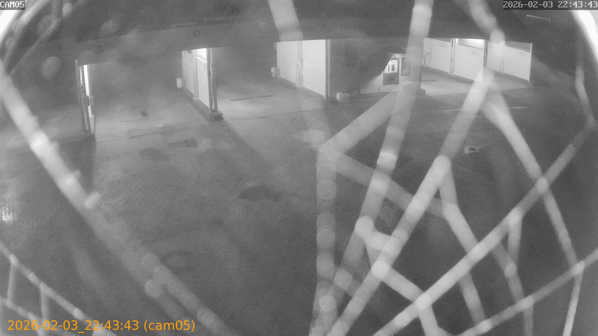 thumbnail_20260203224343