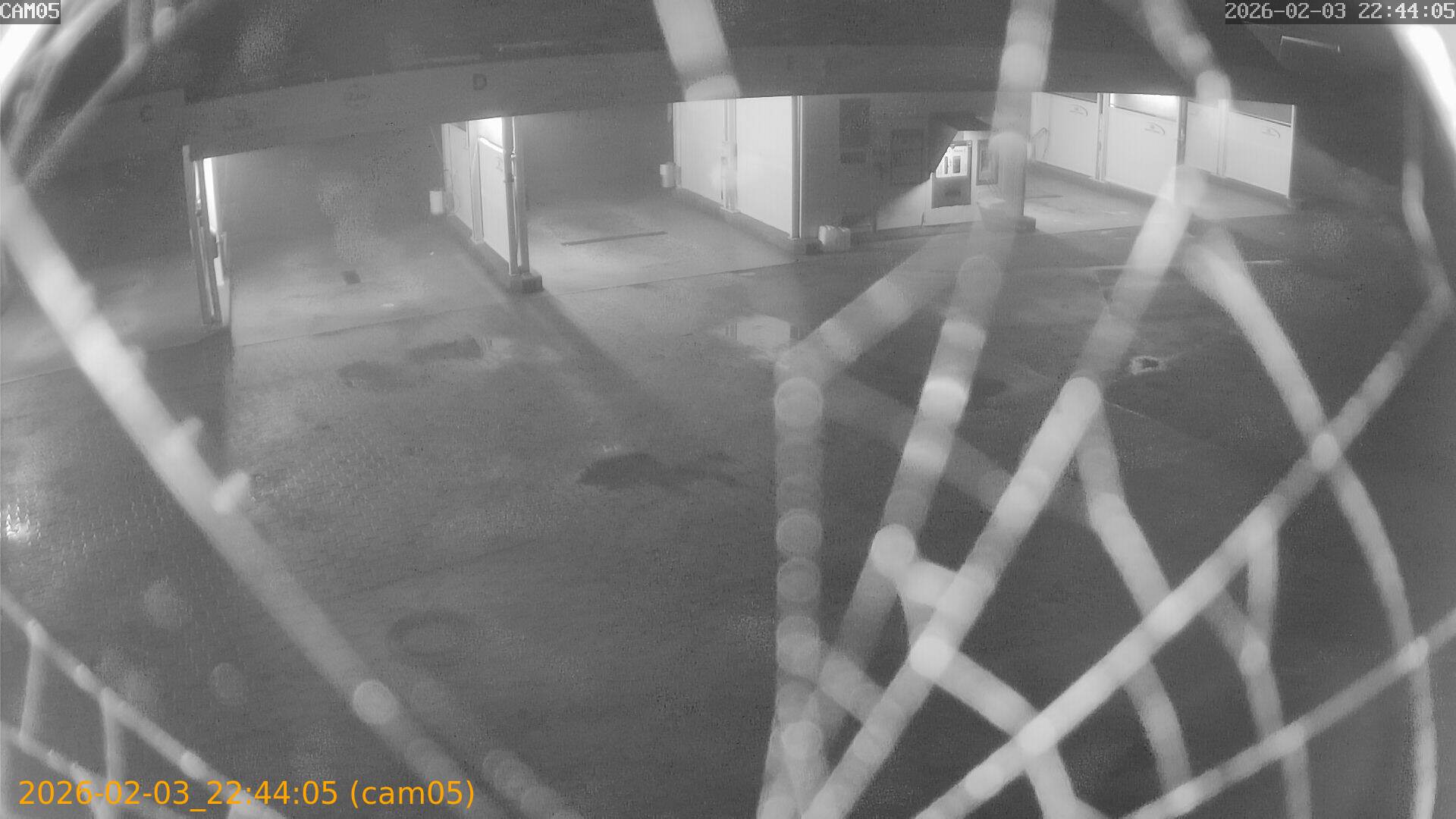 thumbnail_20260203224405