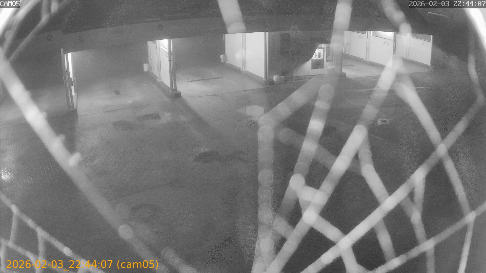 thumbnail_20260203224407