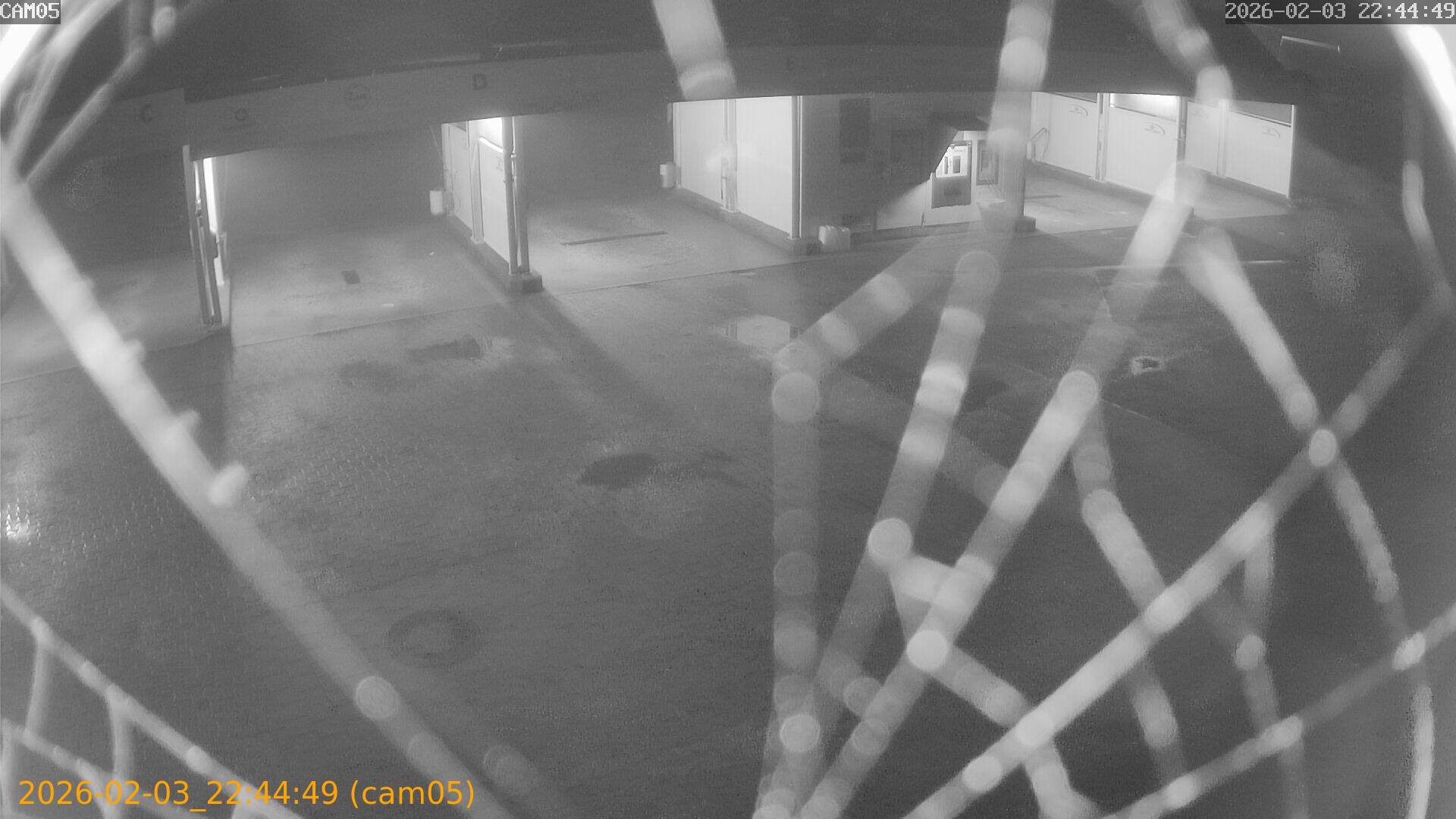 thumbnail_20260203224449