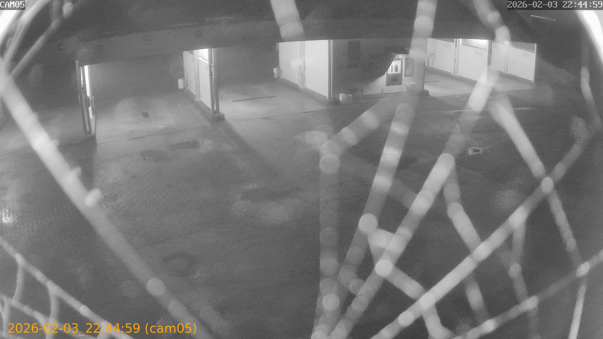 thumbnail_20260203224459