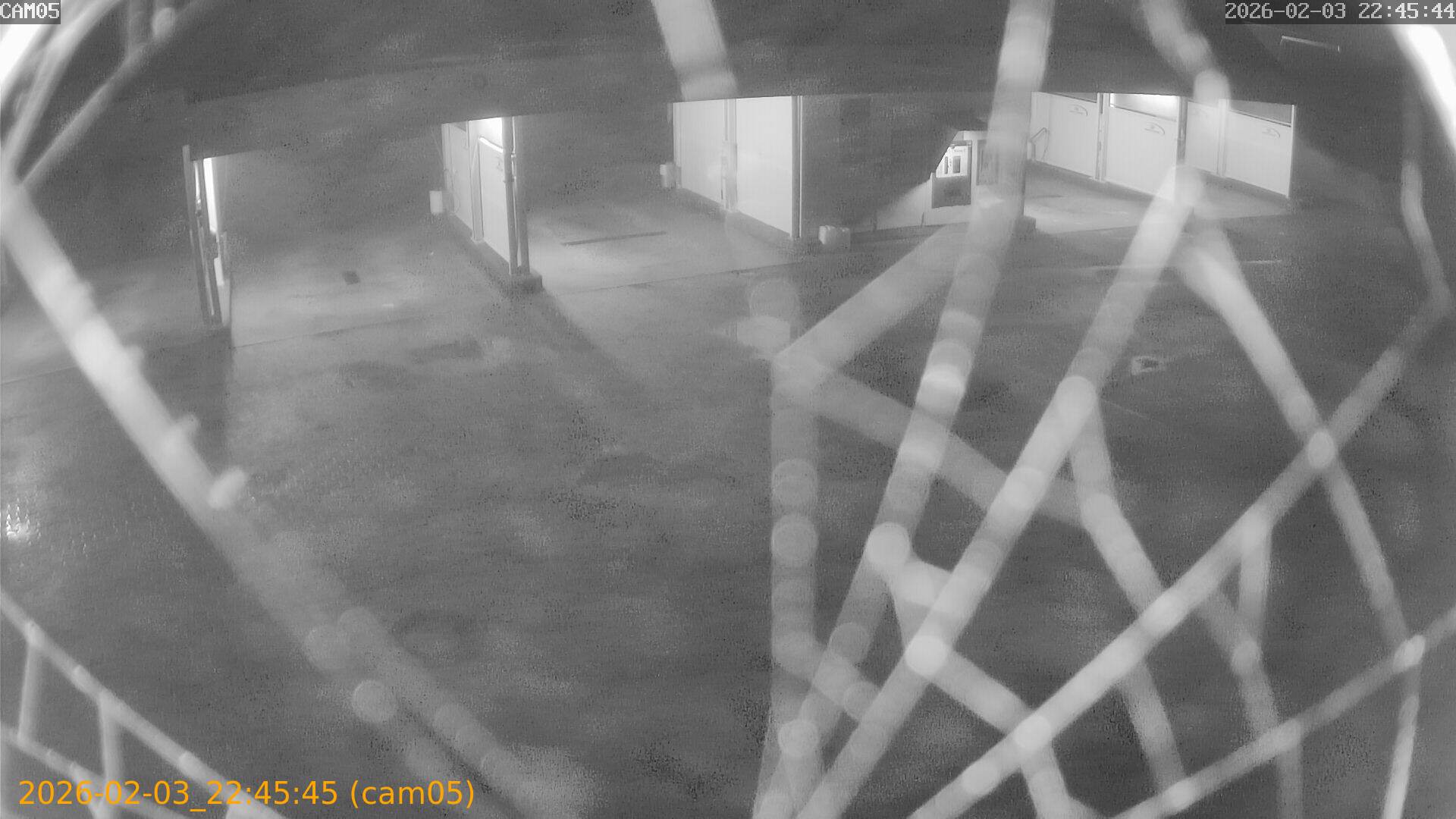 thumbnail_20260203224545