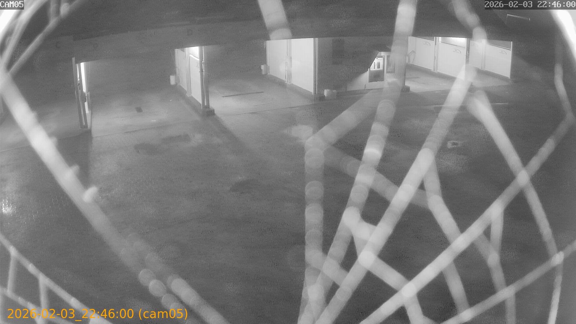 thumbnail_20260203224600