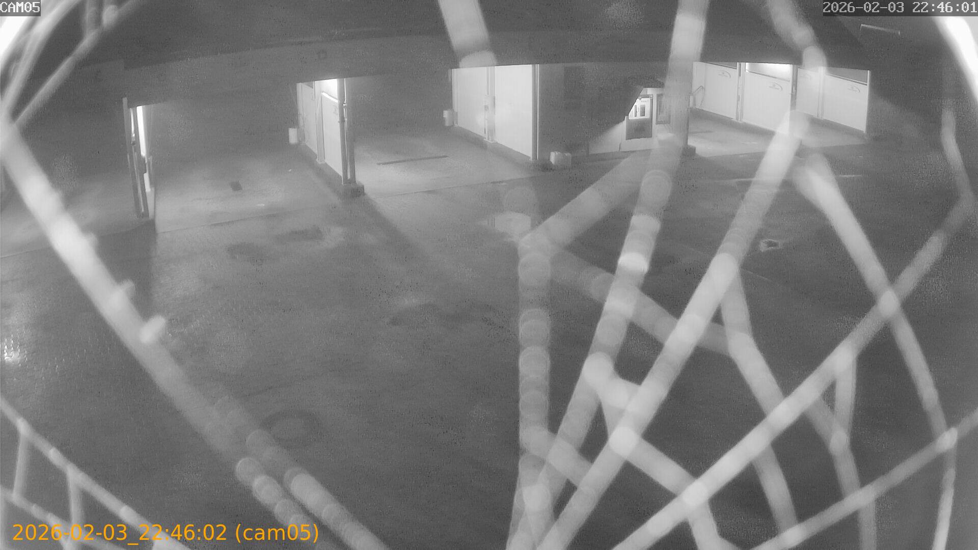 thumbnail_20260203224602