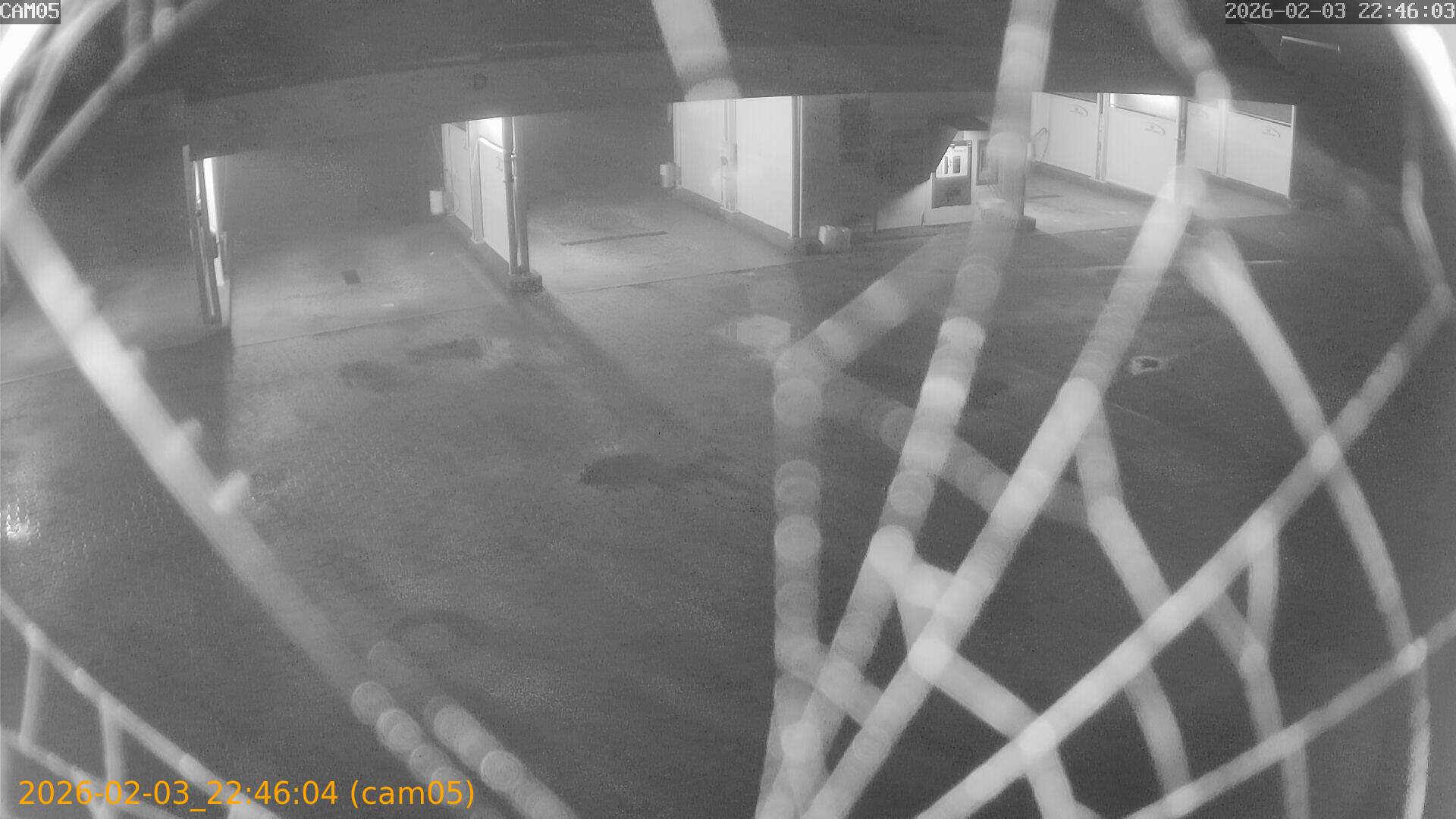 thumbnail_20260203224604