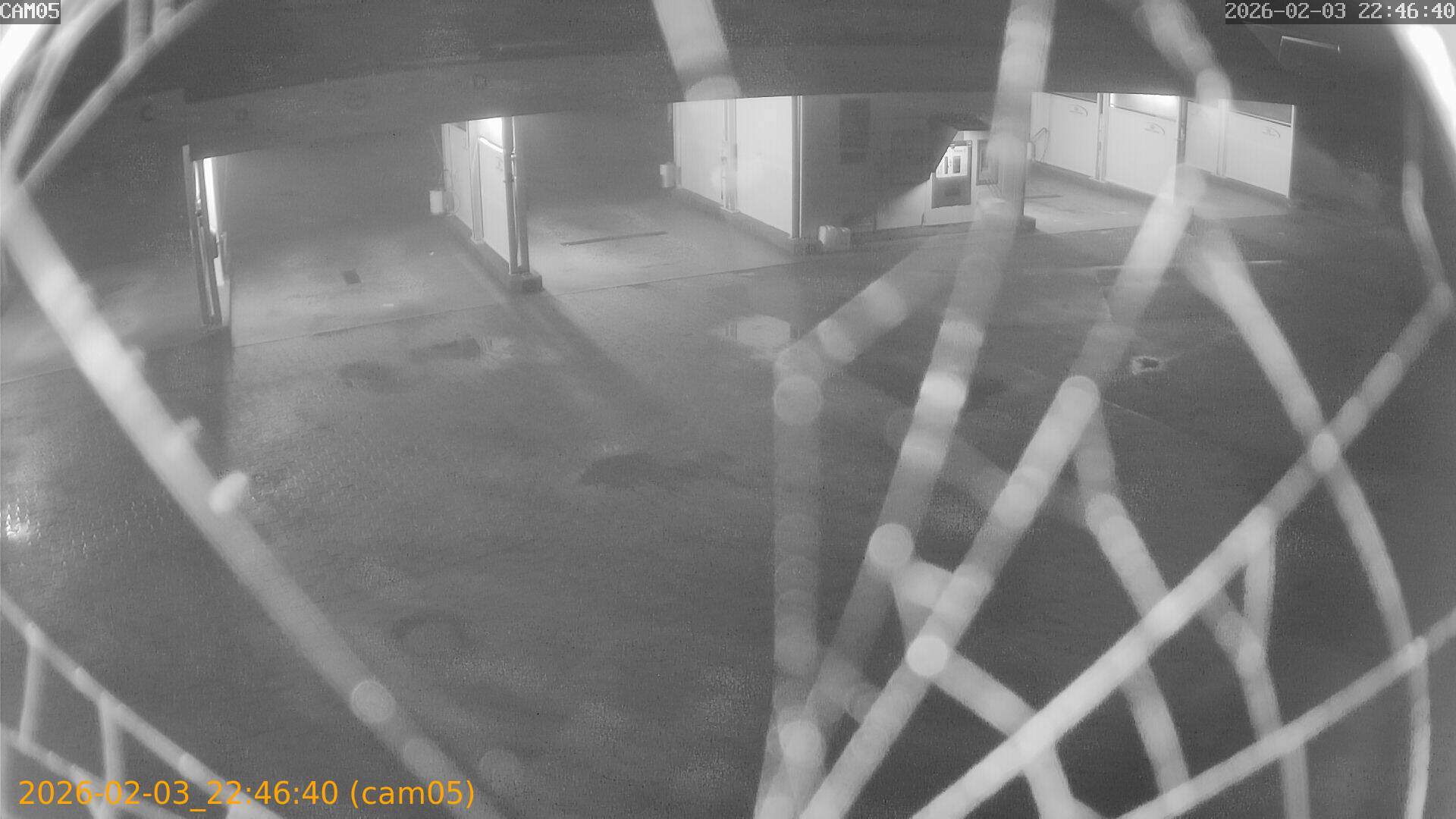 thumbnail_20260203224640