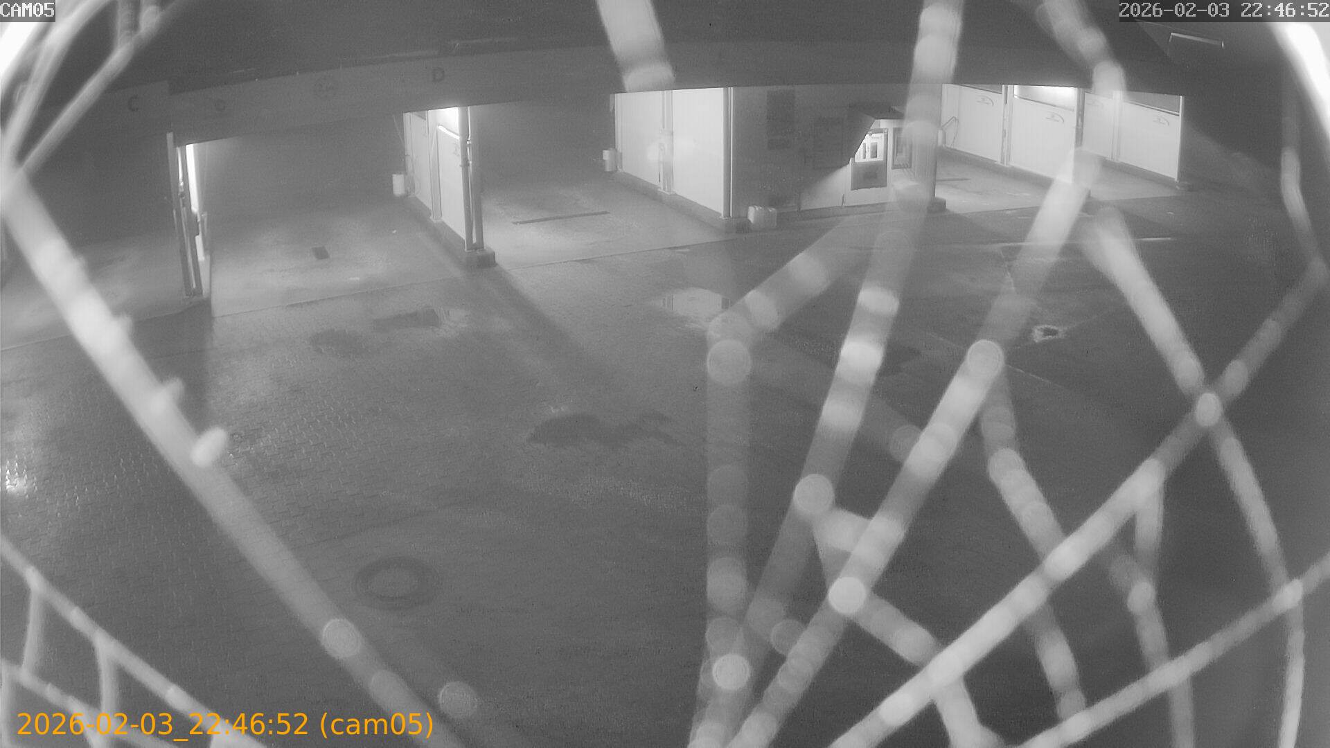 thumbnail_20260203224652