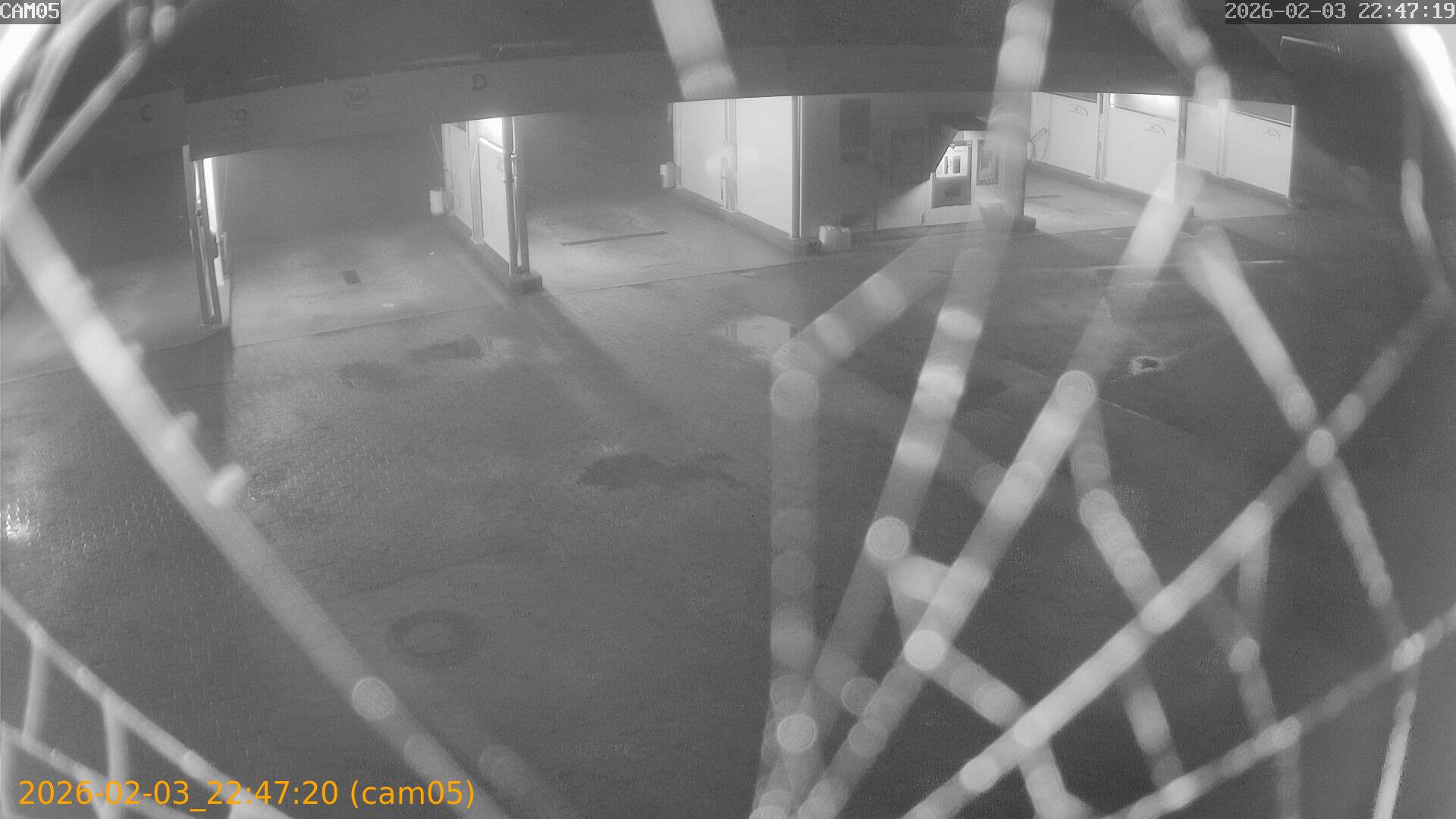 thumbnail_20260203224720