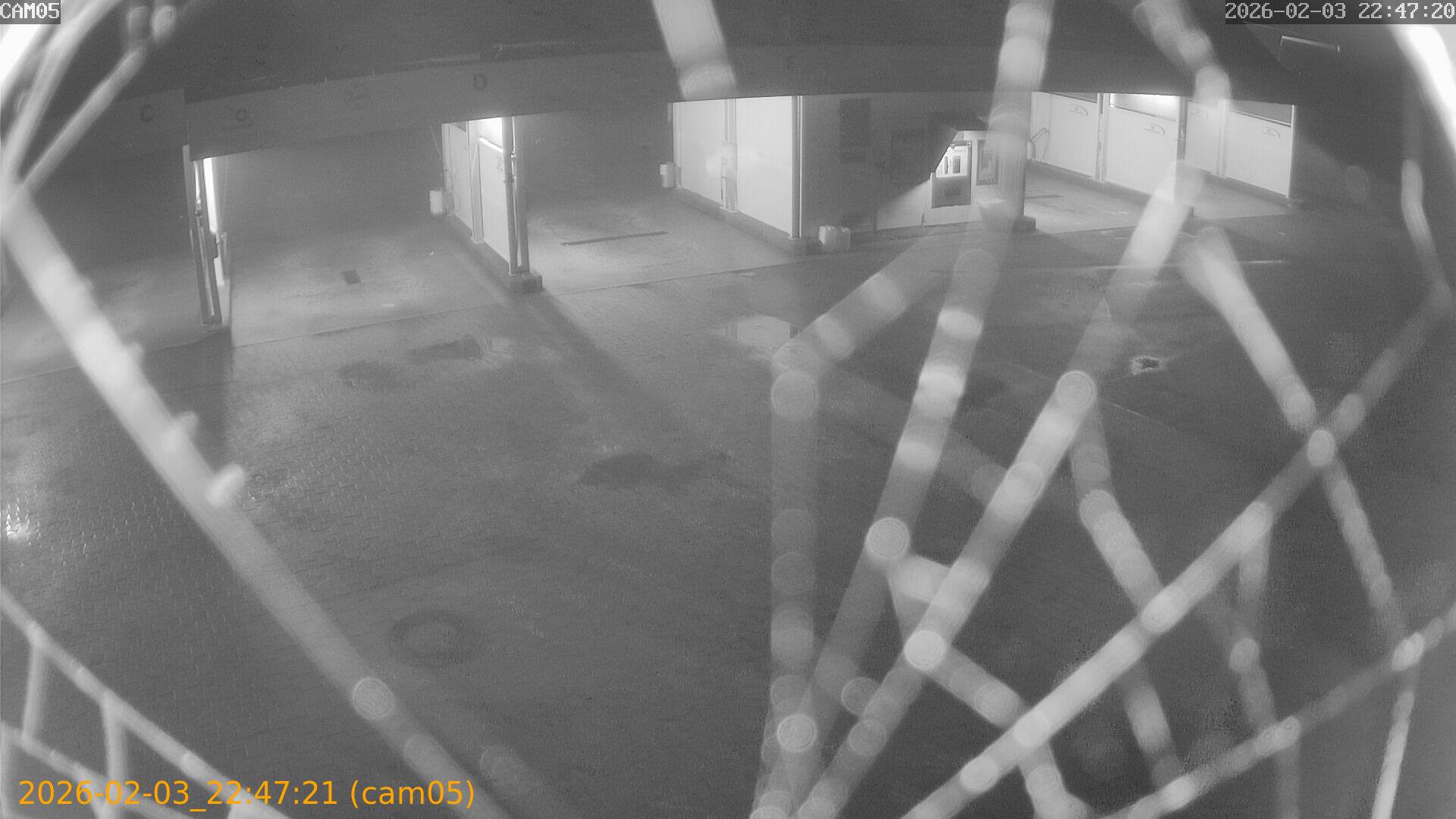 thumbnail_20260203224721