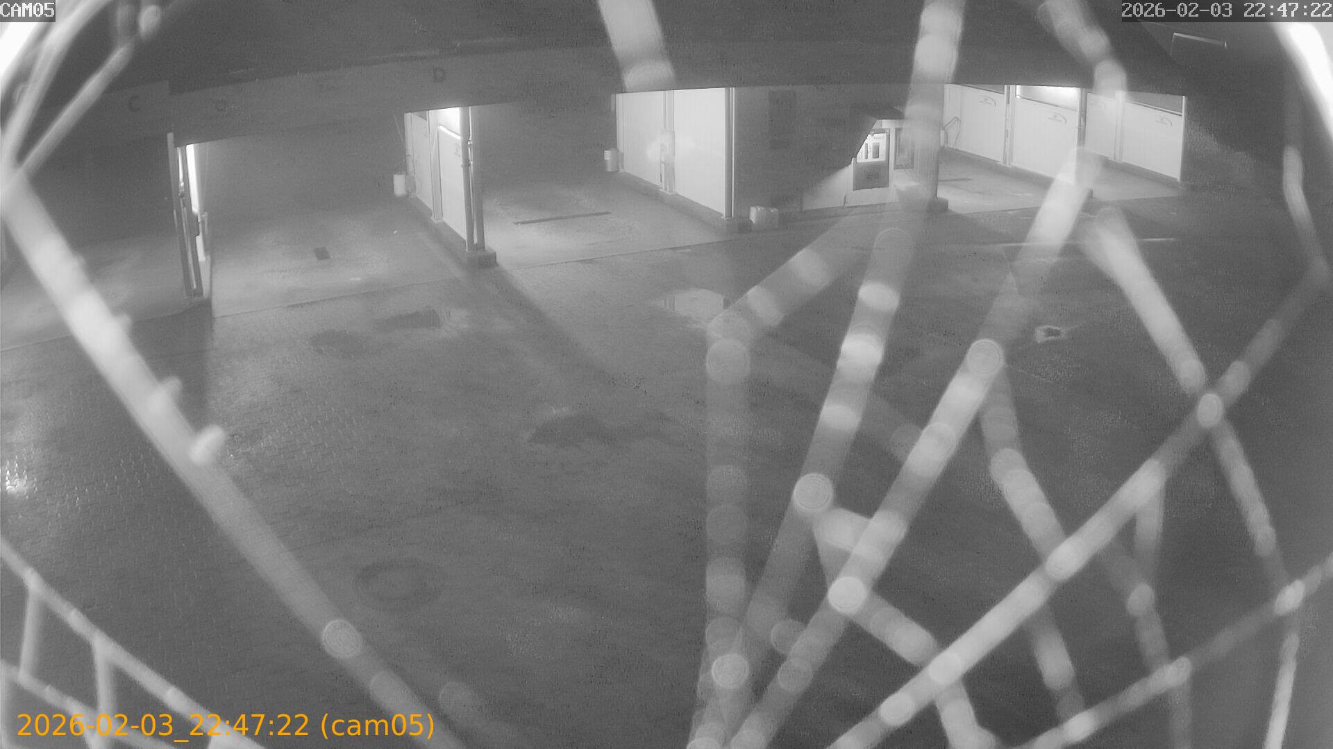 thumbnail_20260203224722