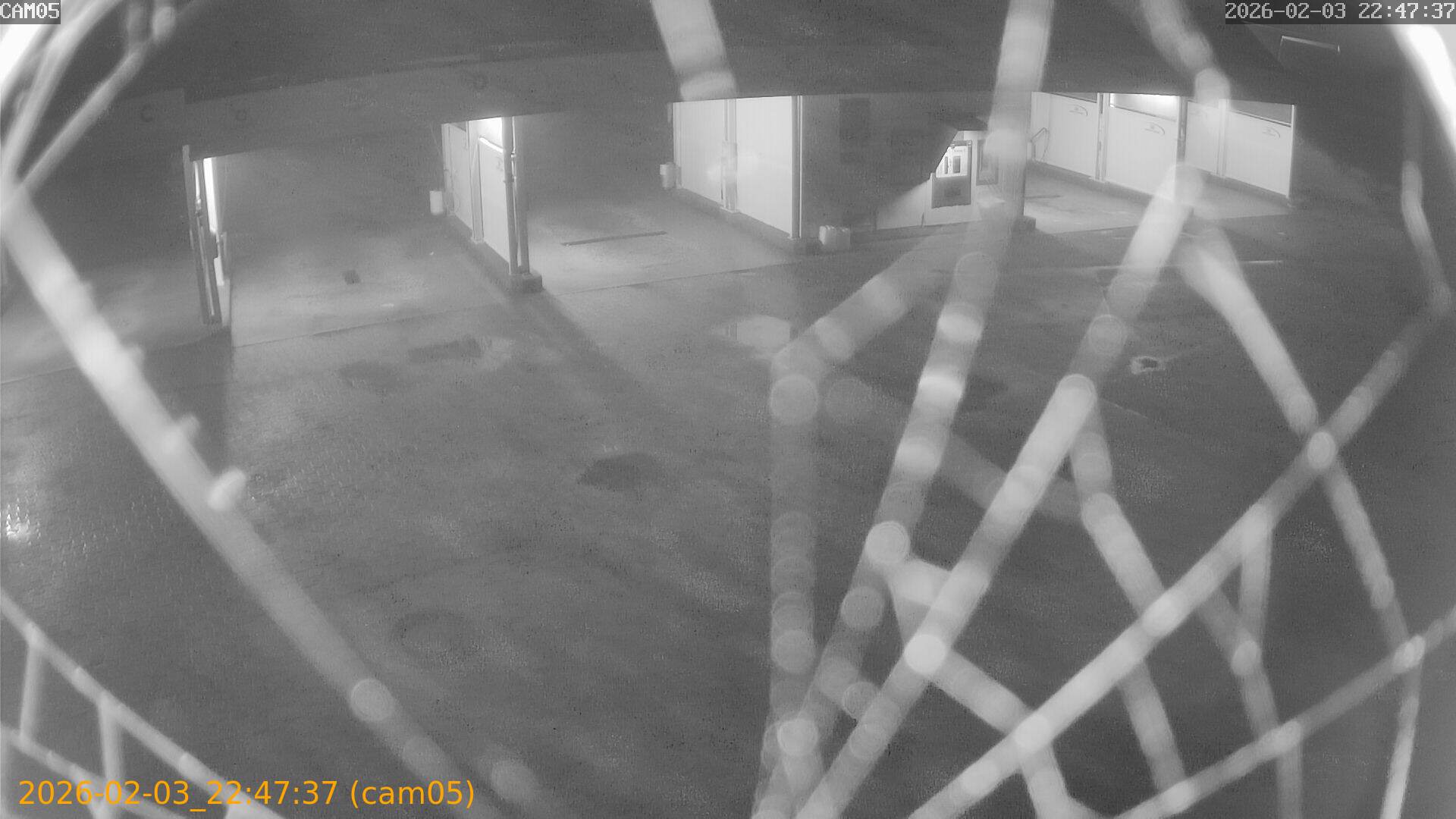 thumbnail_20260203224737