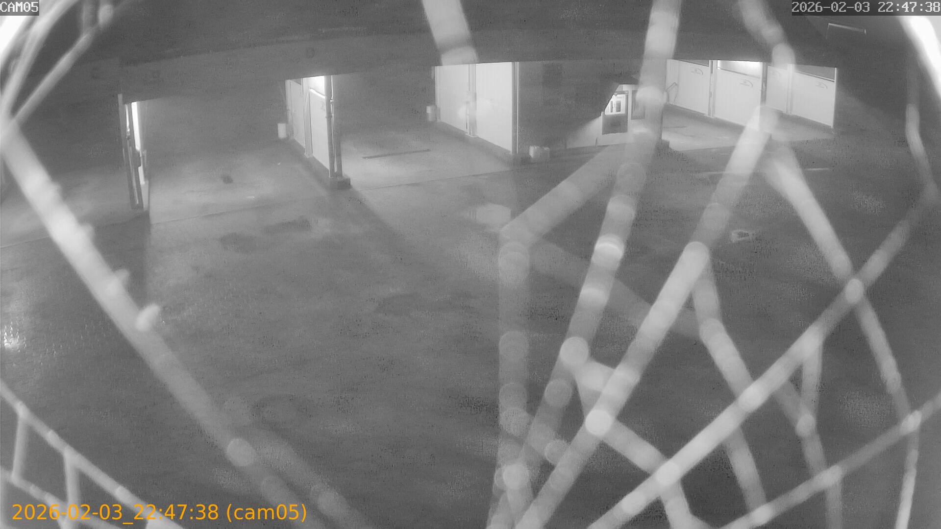 thumbnail_20260203224738