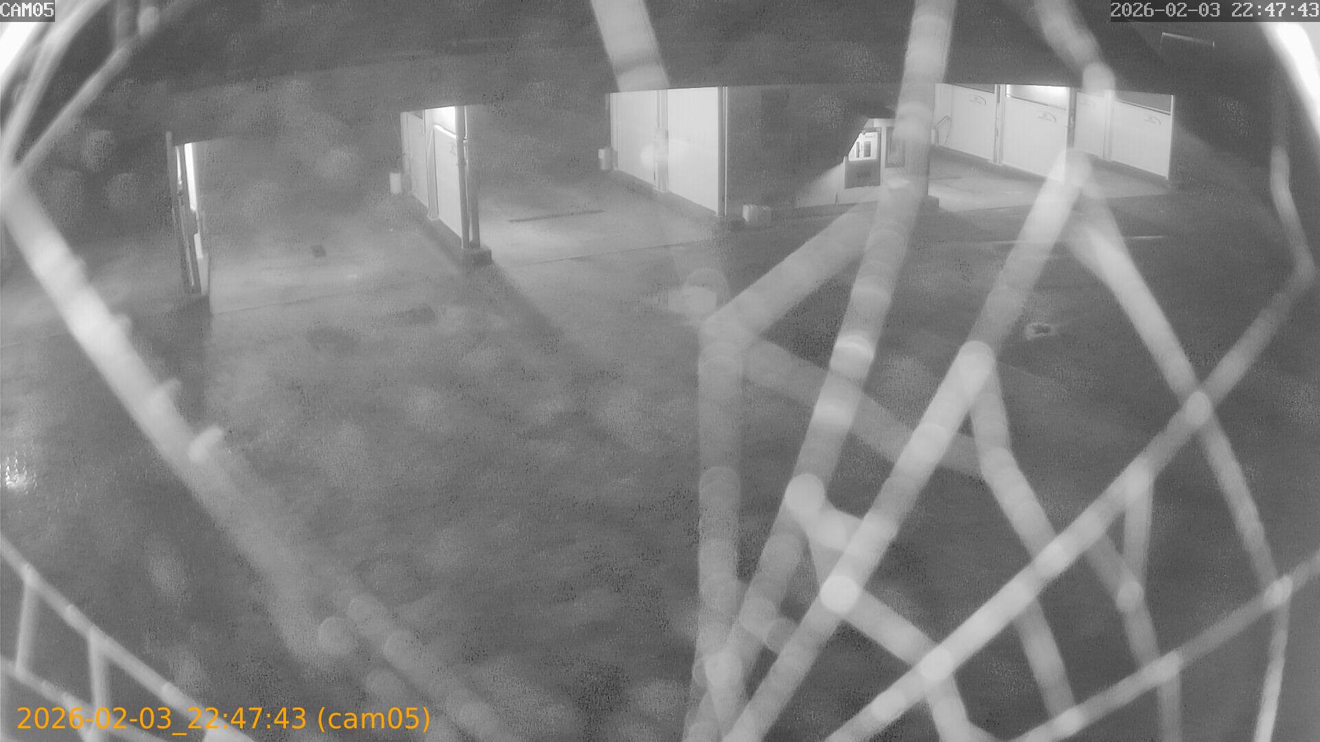 thumbnail_20260203224743