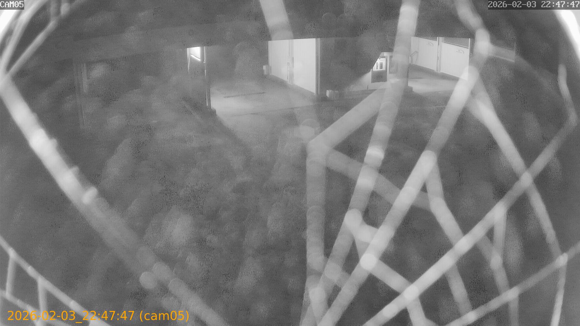 thumbnail_20260203224747