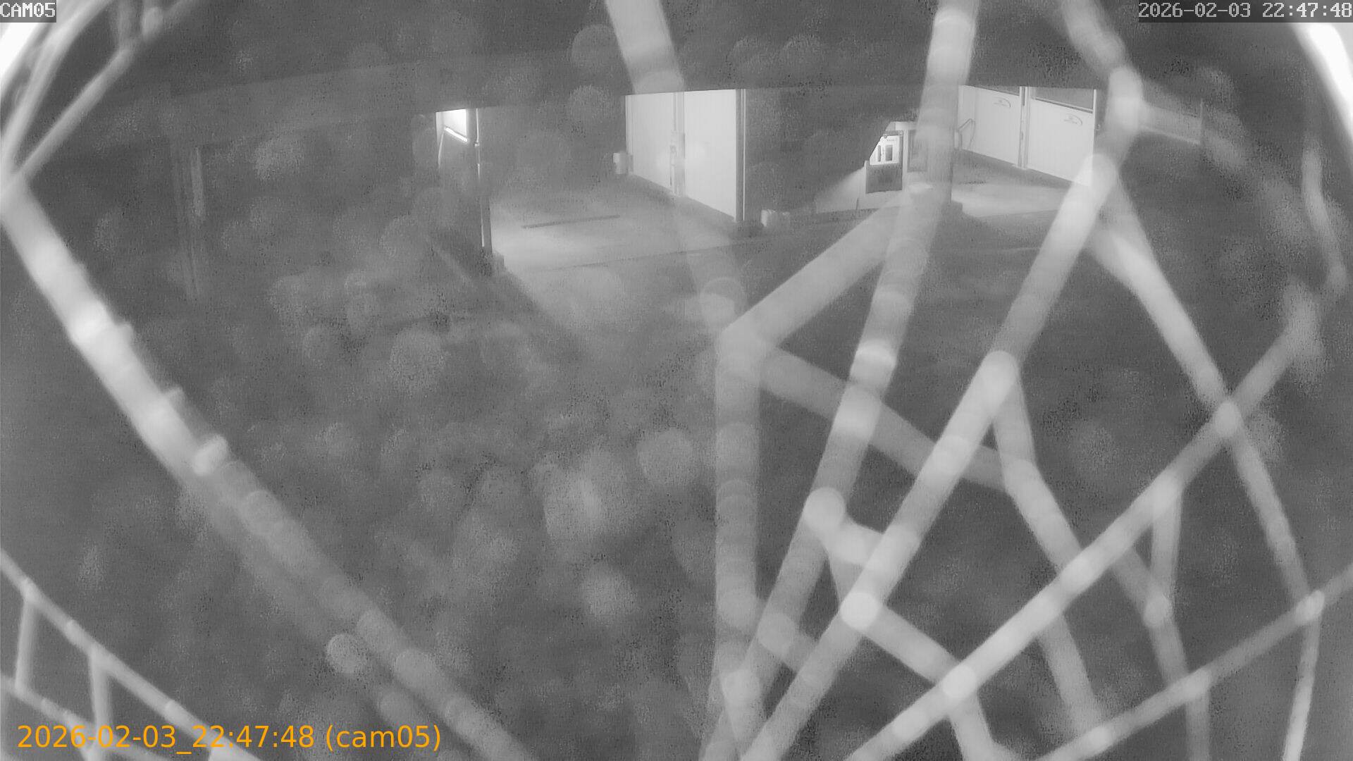 thumbnail_20260203224748