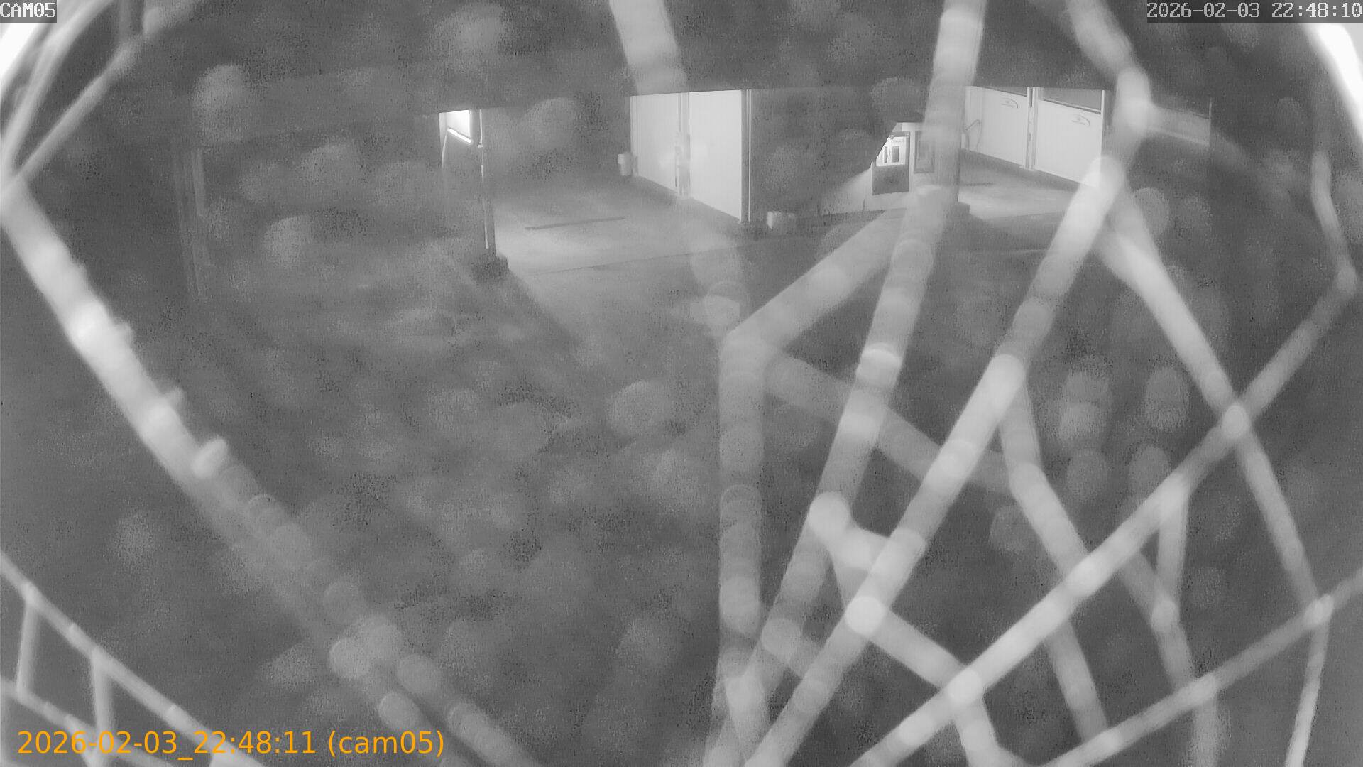 thumbnail_20260203224811