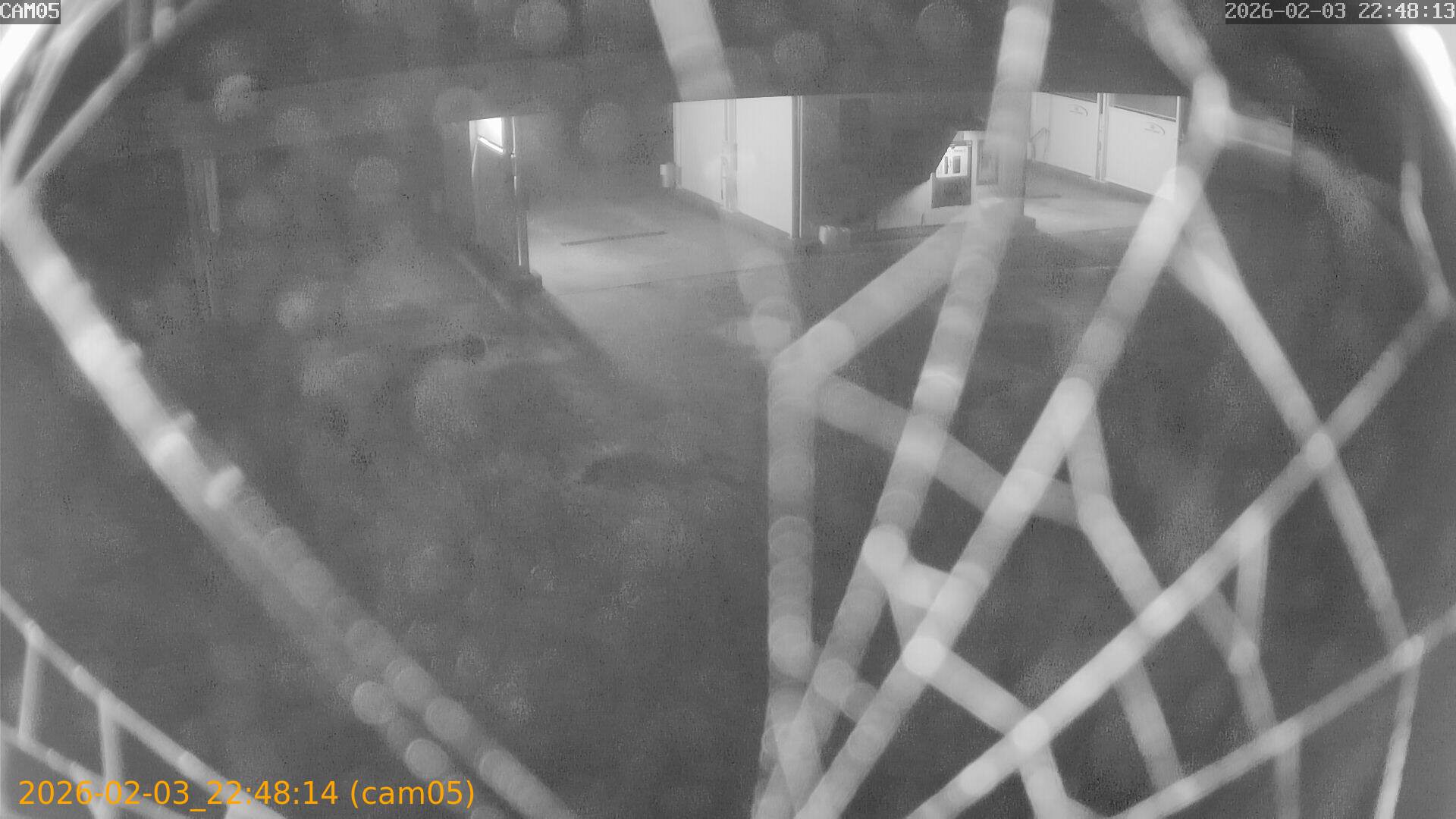 thumbnail_20260203224814