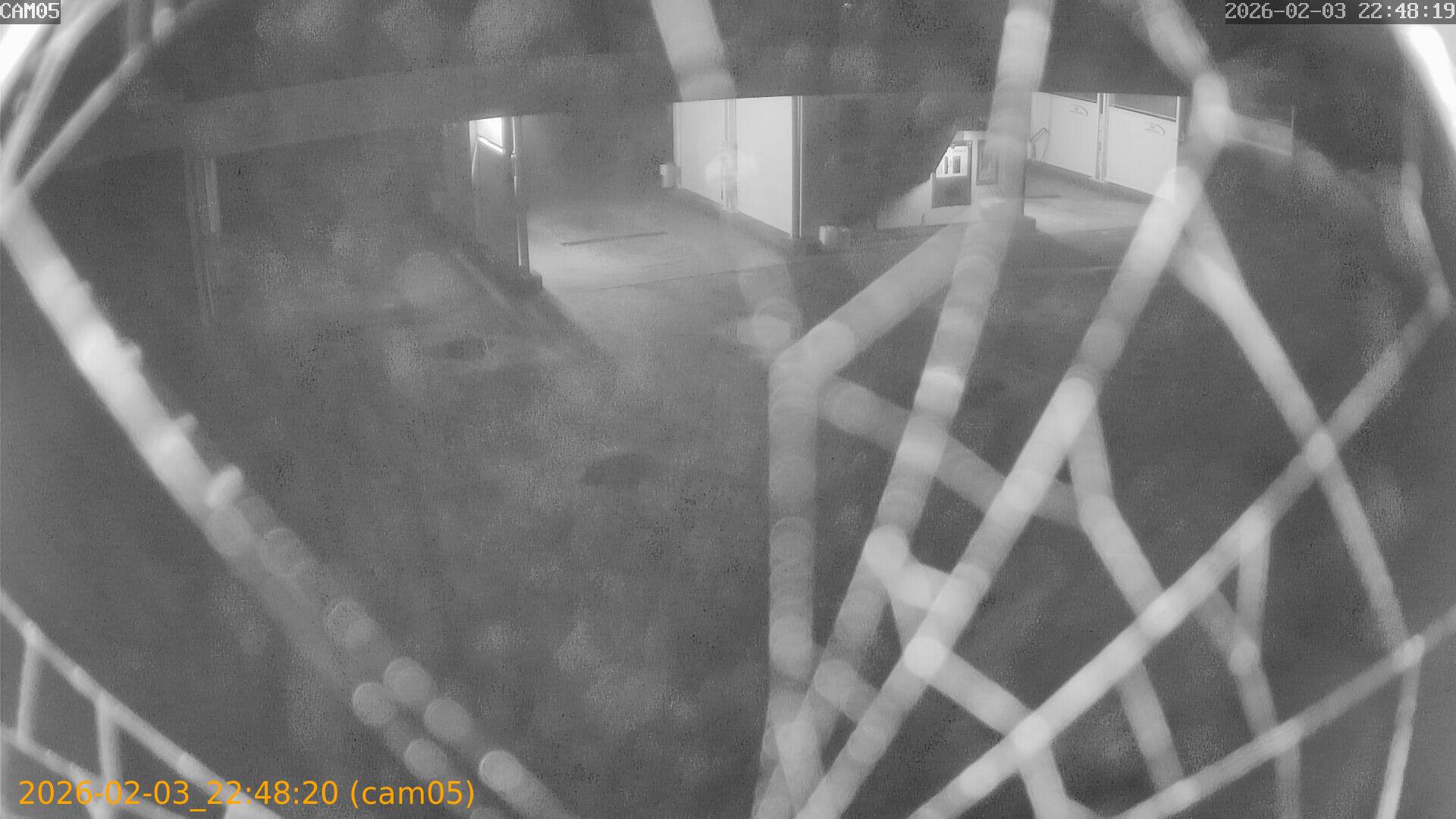 thumbnail_20260203224820